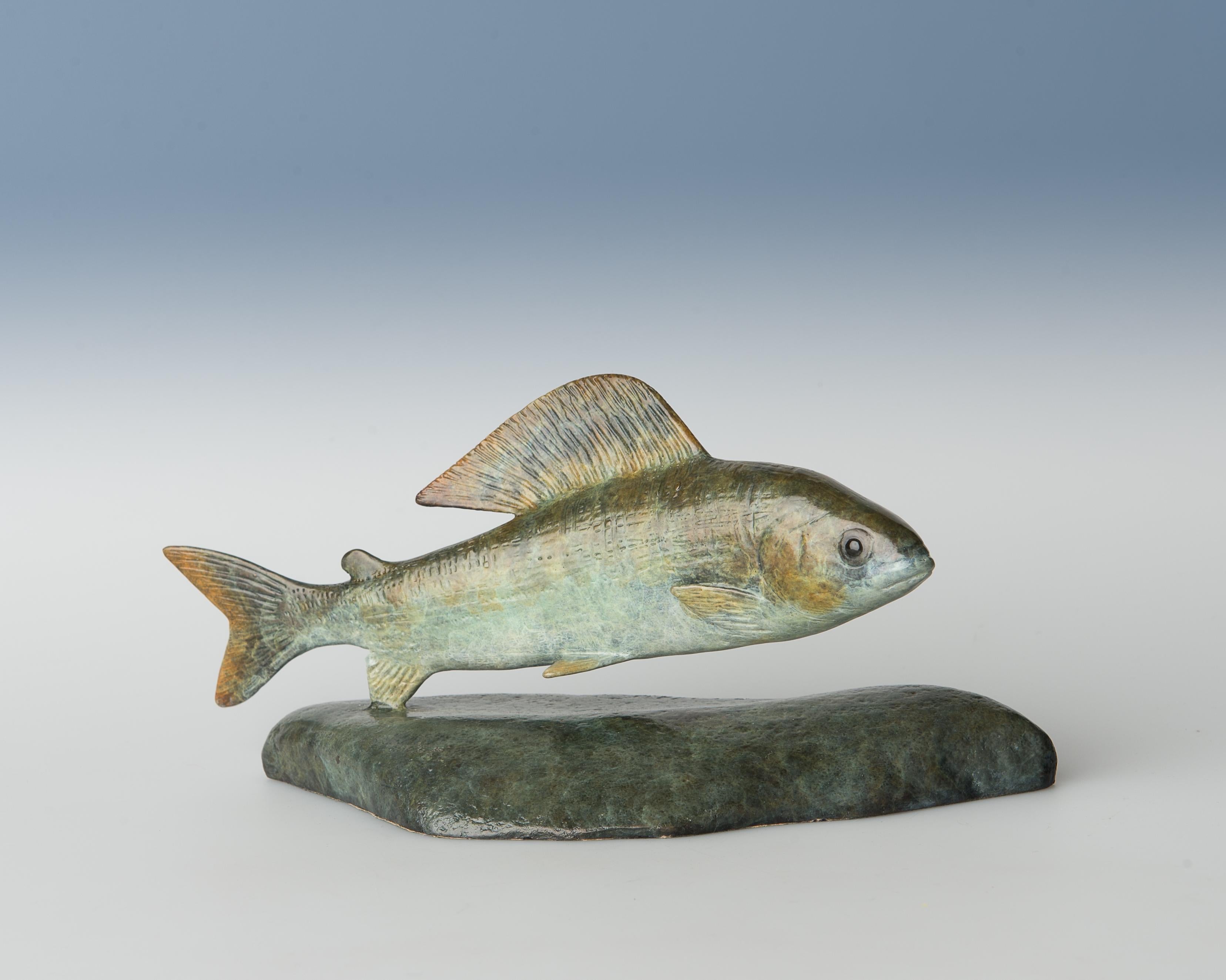 Zeitgenössische Bronzeskulptur eines Fisches Kleine Äsche schwimmend, grün, braun im Angebot 2