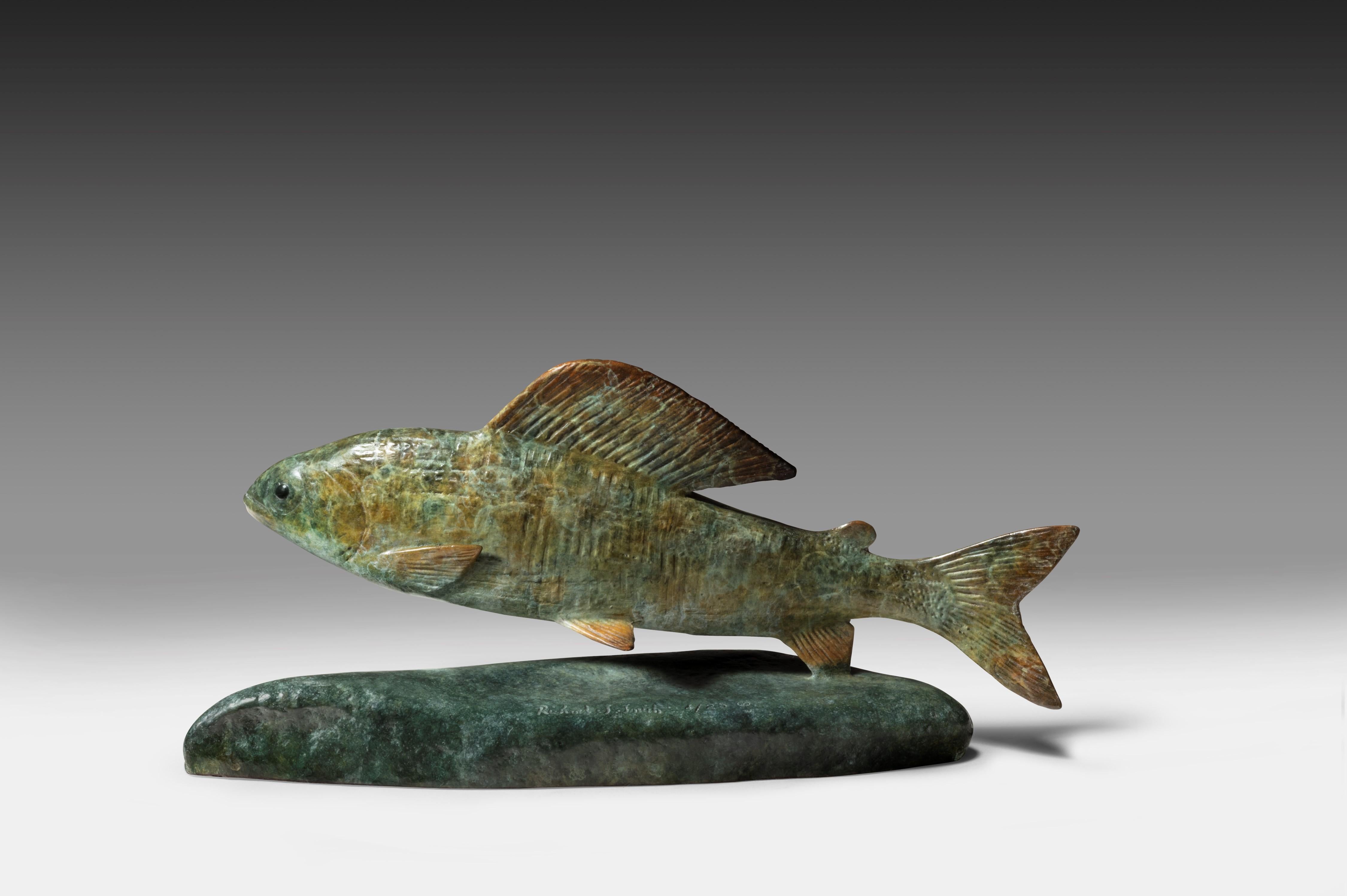 Zeitgenössische Bronzeskulptur eines Fisches Kleine Äsche schwimmend, grün, braun im Angebot 3