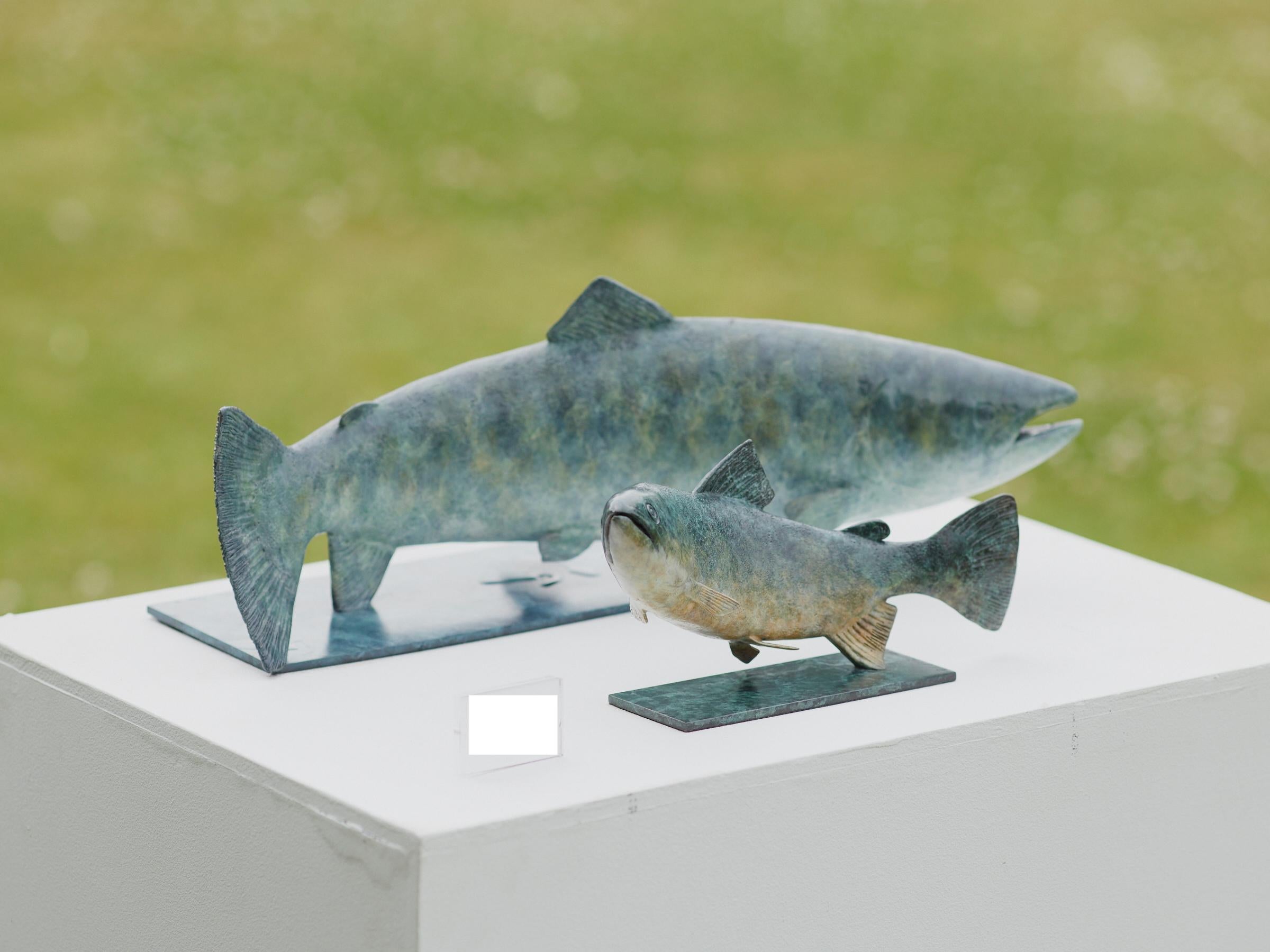 Contemporary Bronze Sculpture of a lifesize Salmon swimming, green and blue For Sale 5