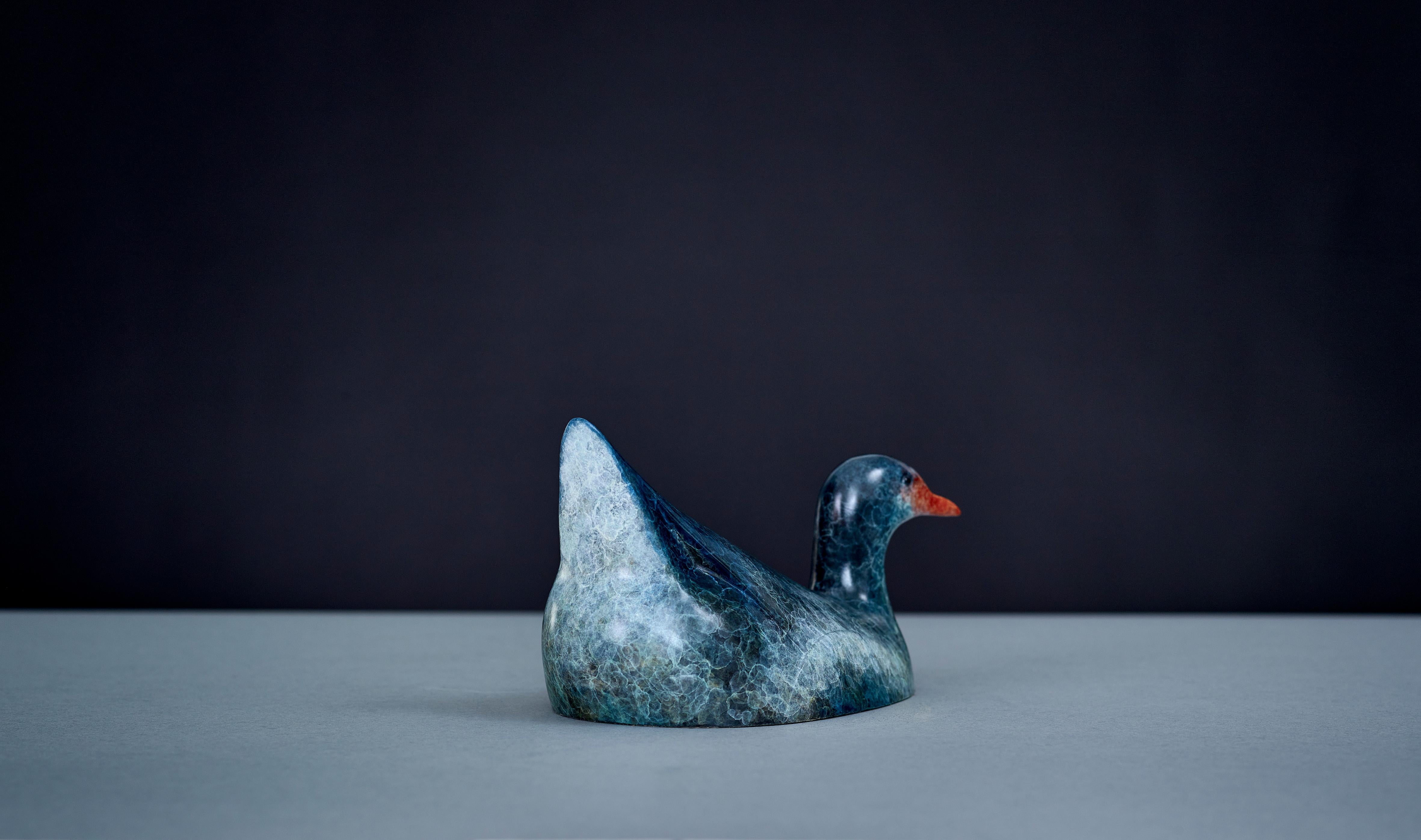 Scultura contemporanea in bronzo di un uccello acquatico gallinella d'acqua che nuota, blu vivace, rosso - Sculpture Contemporaneo di Richard Smith b.1955