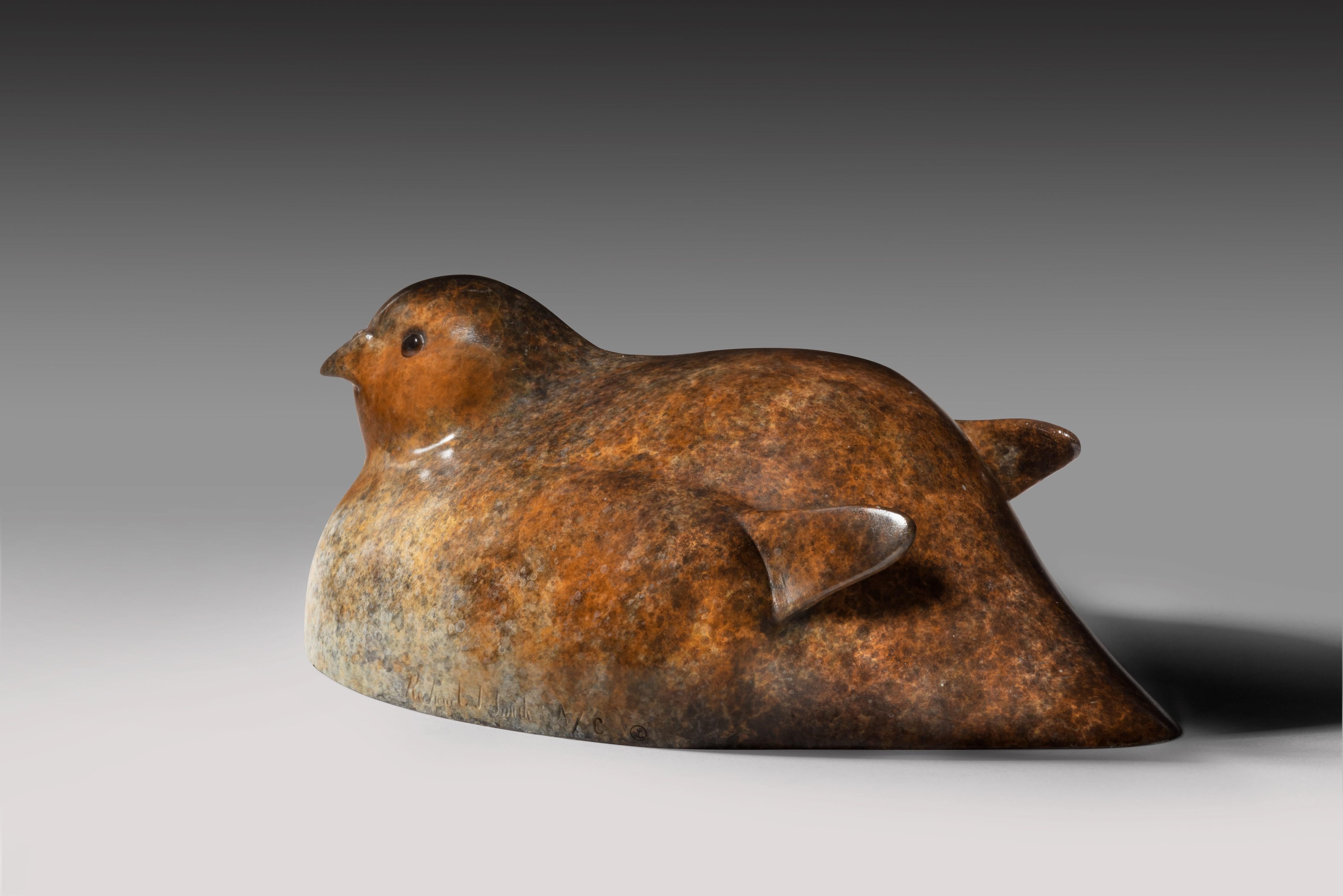 Edition of 12
A bronze sculpture of a nesting partridge, patinated in mottled brown with delicate specks of white, captures the quiet dignity and subtle charm of this iconic game bird. The sculptor depicts the partridge in a relaxed, grounded pose,