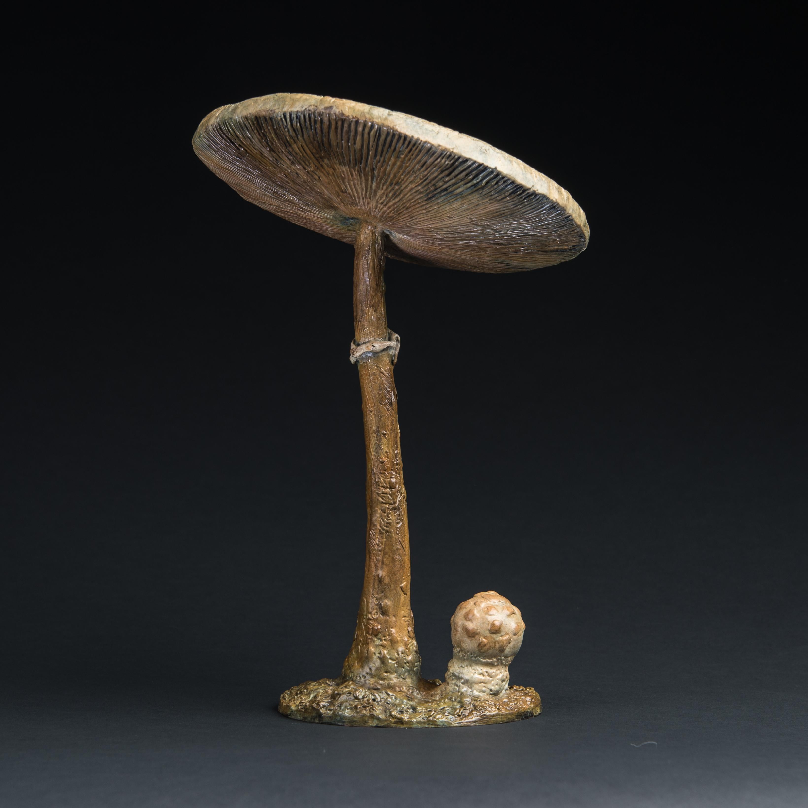 Sculpture contemporaine en bronze d'un champignon parasol in woods, wildlife, fungi - Or Still-Life Sculpture par Richard Smith b.1955