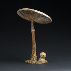 Sculpture contemporaine en bronze d'un champignon parasol in woods, wildlife, fungi