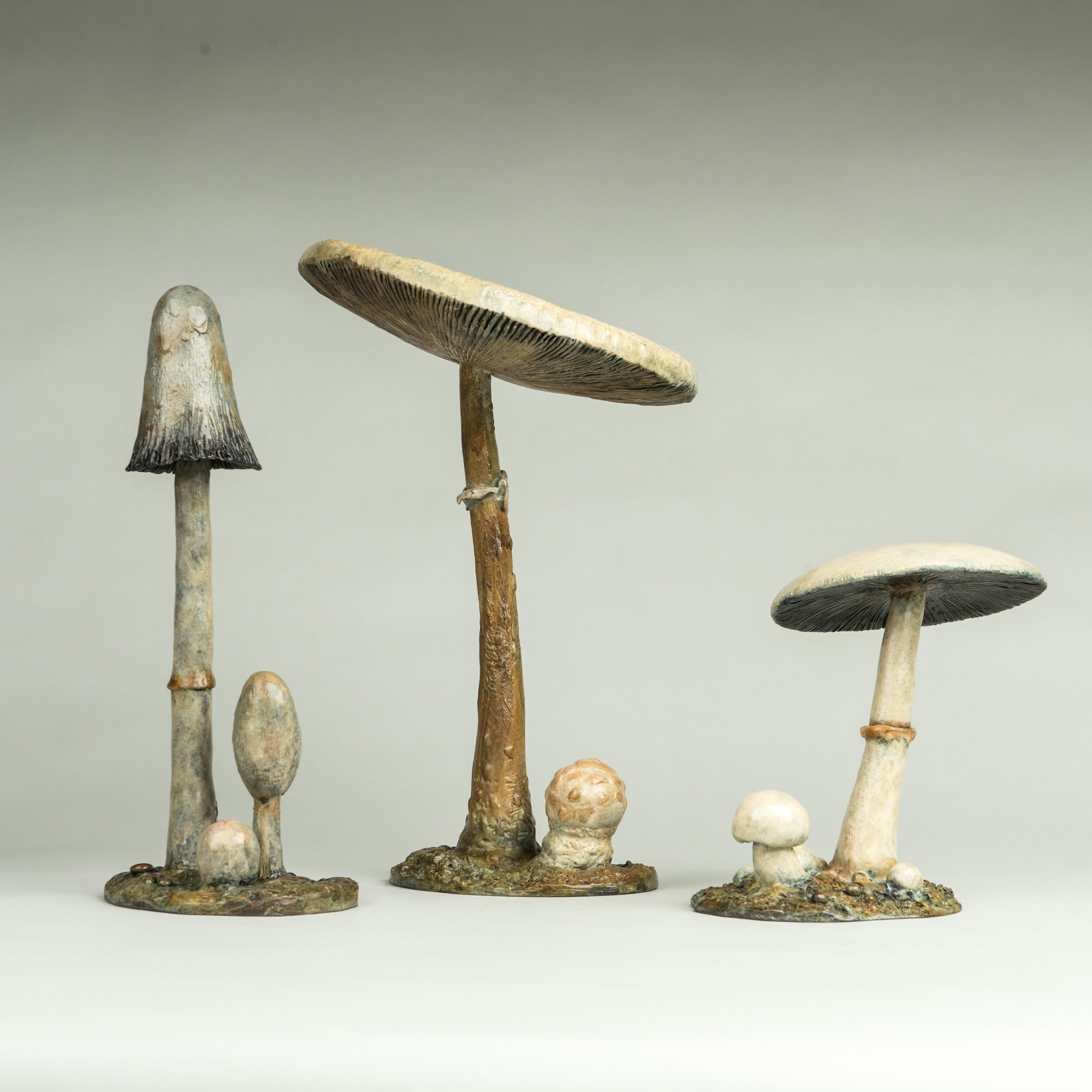 Sculpture contemporaine en bronze d'un champignon parasol in woods, wildlife, fungi en vente 2