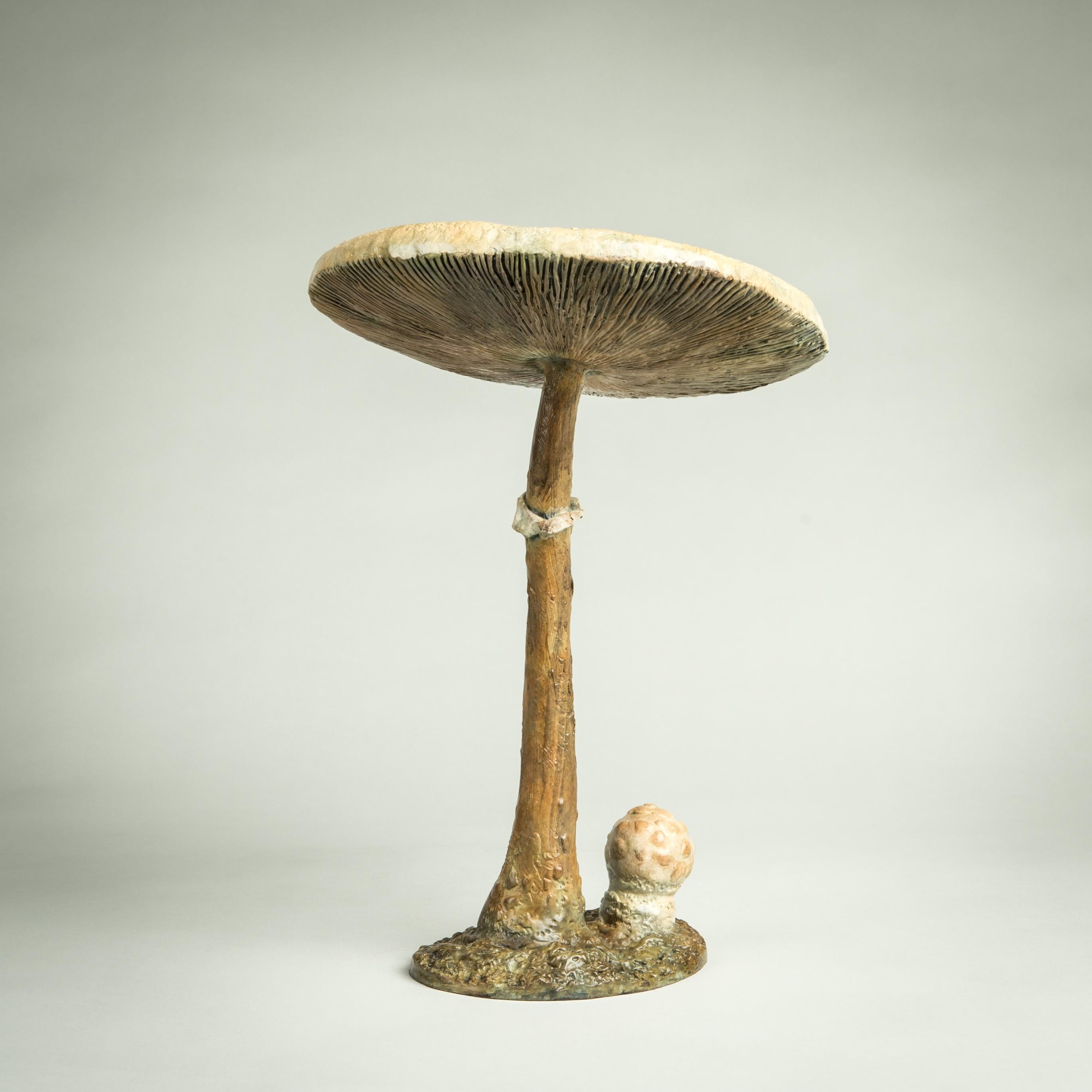 Contemporary Bronze Sculpture of a Parasol Mushroom in woods, wildlife, fungi