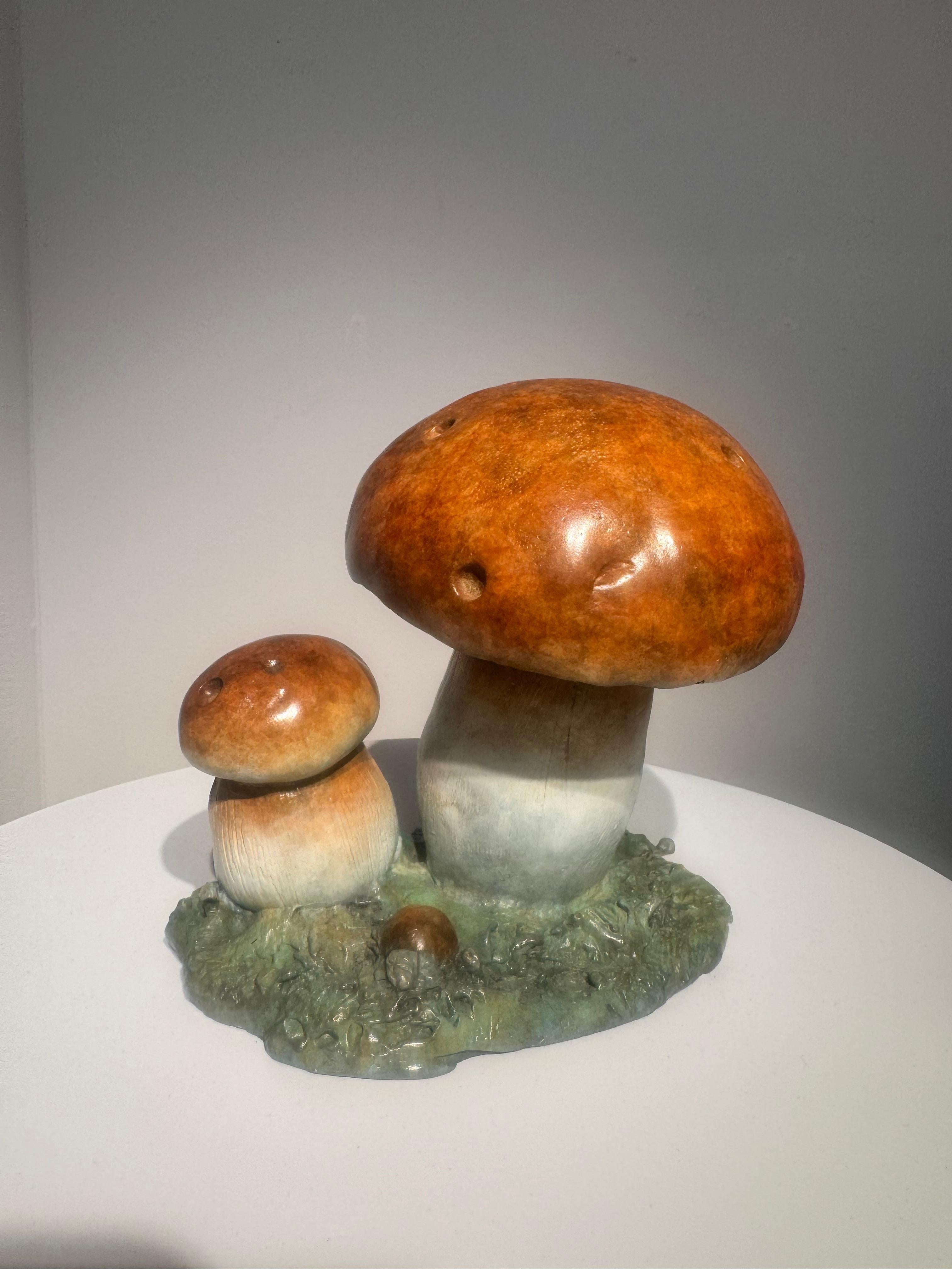 Scultura contemporanea in bronzo di un fungo Penny Bun, bosco, natura, fauna selvatica - Sculpture Contemporaneo di Richard Smith b.1955