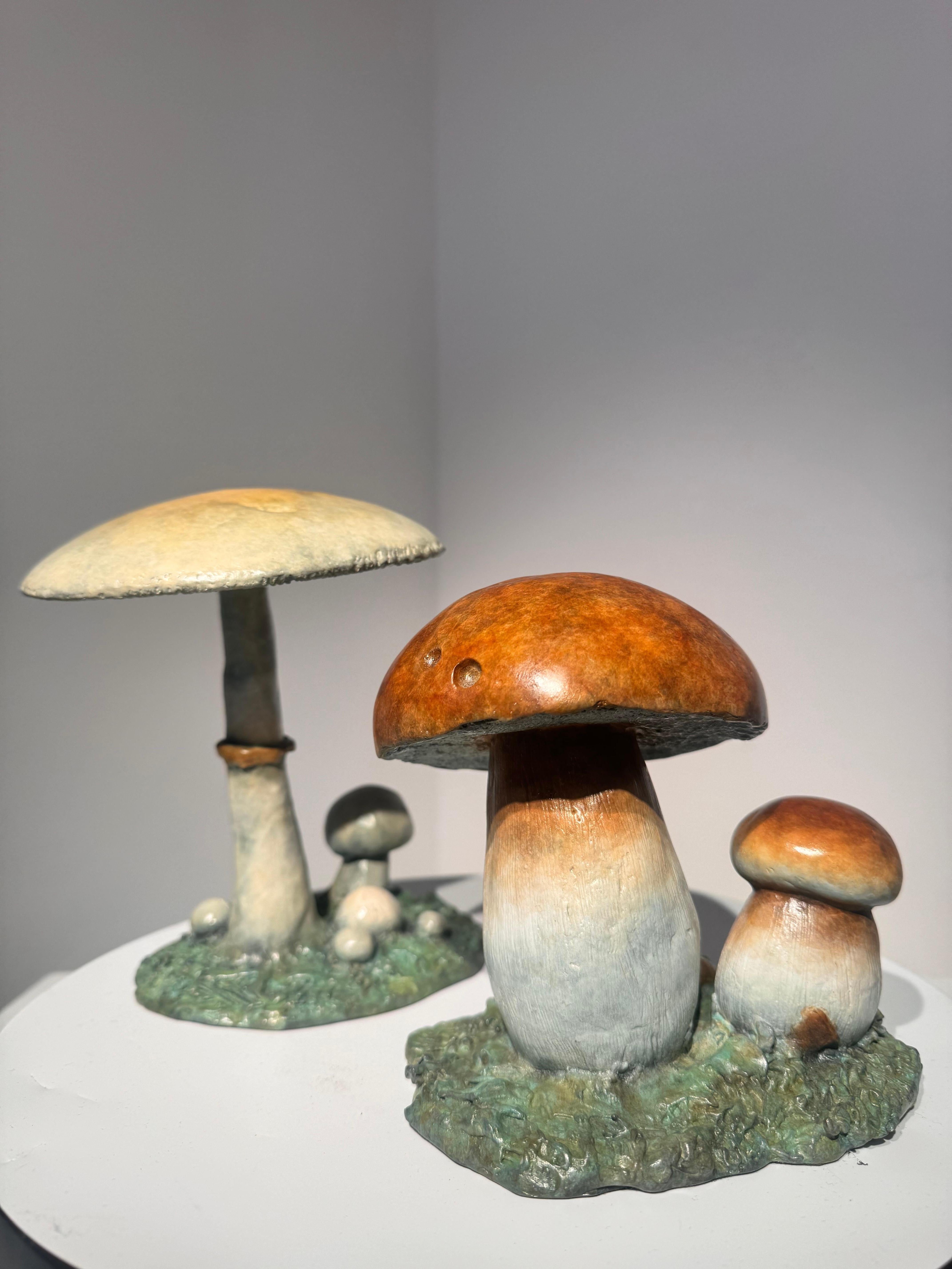Scultura contemporanea in bronzo di un fungo Penny Bun, bosco, natura, fauna selvatica in vendita 3