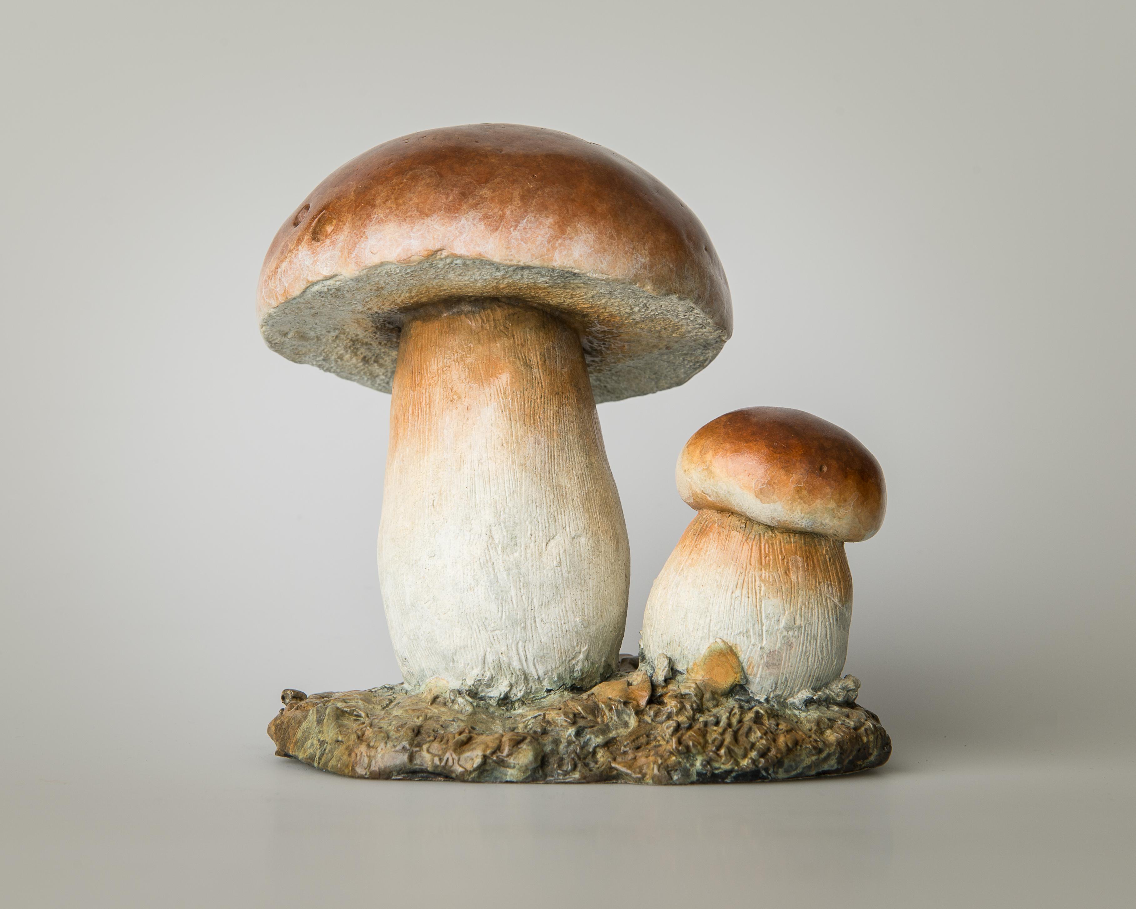 Sculpture contemporaine en bronze d'un champignon Penny Bun, woodland, nature wildlife