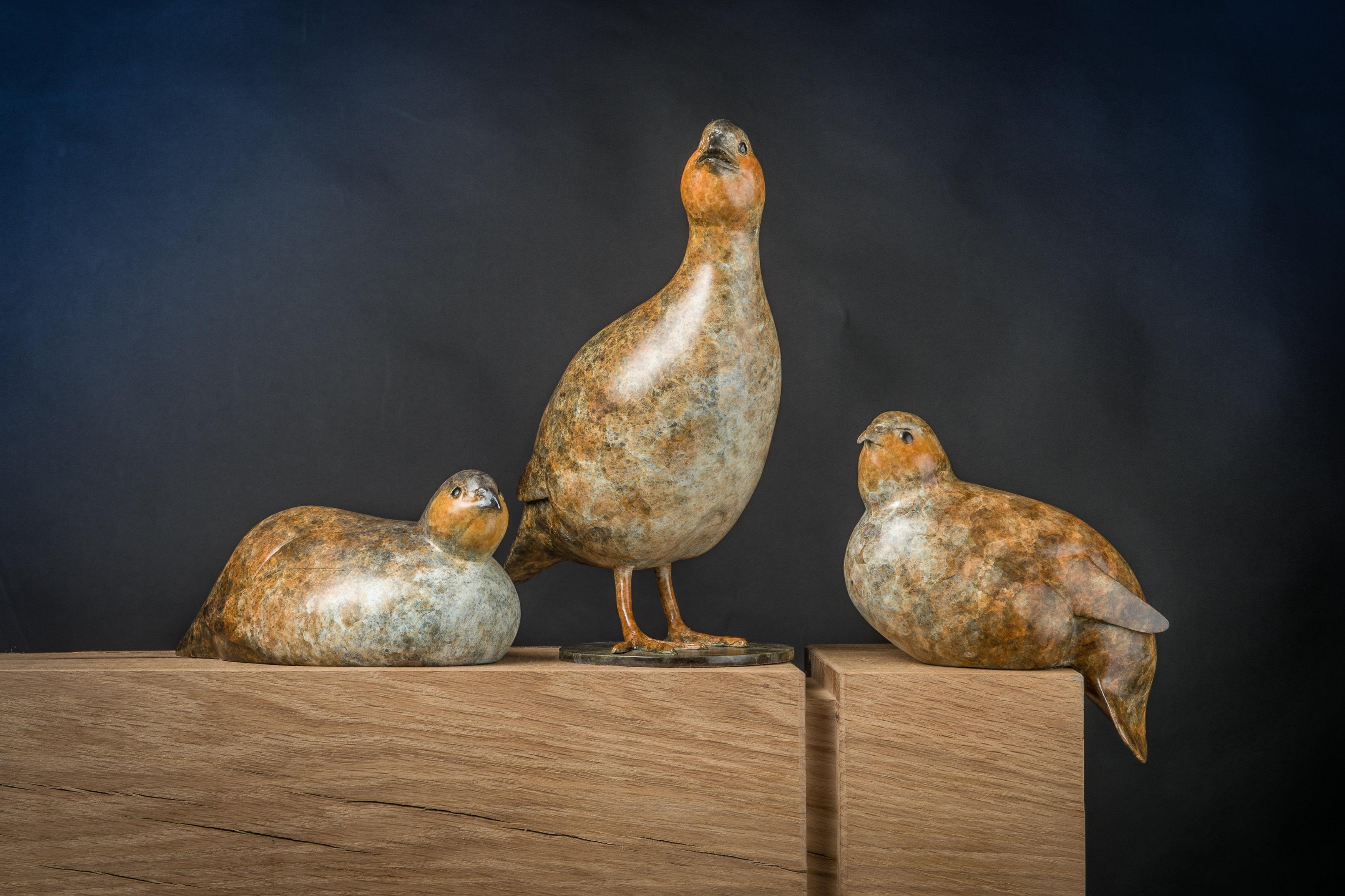 Contemporary Bronze Sculpture of a Seated Partridge, game bird, brown & White For Sale 7