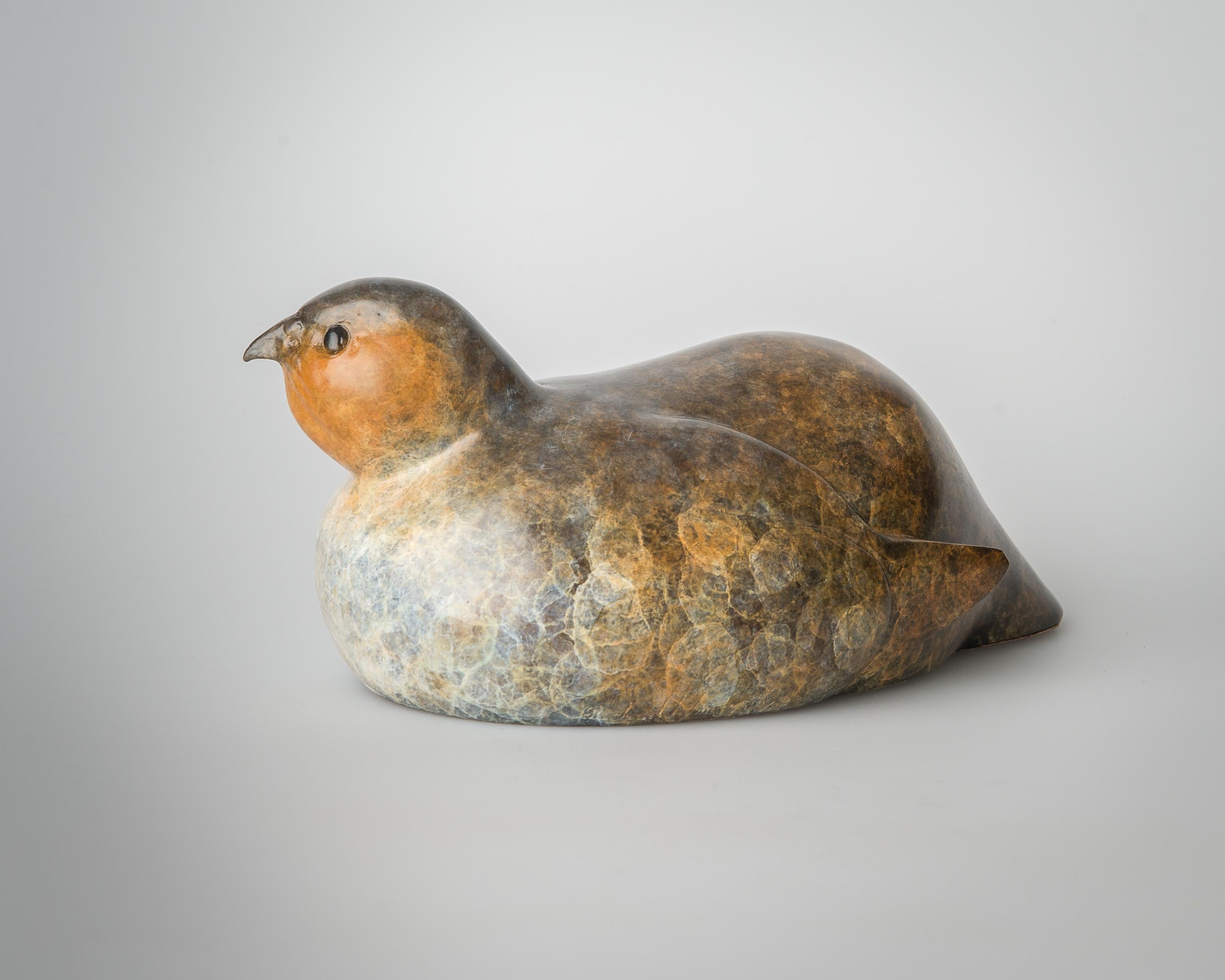 Contemporary Bronze Sculpture of a Seated Partridge, game bird, brown & White For Sale 1
