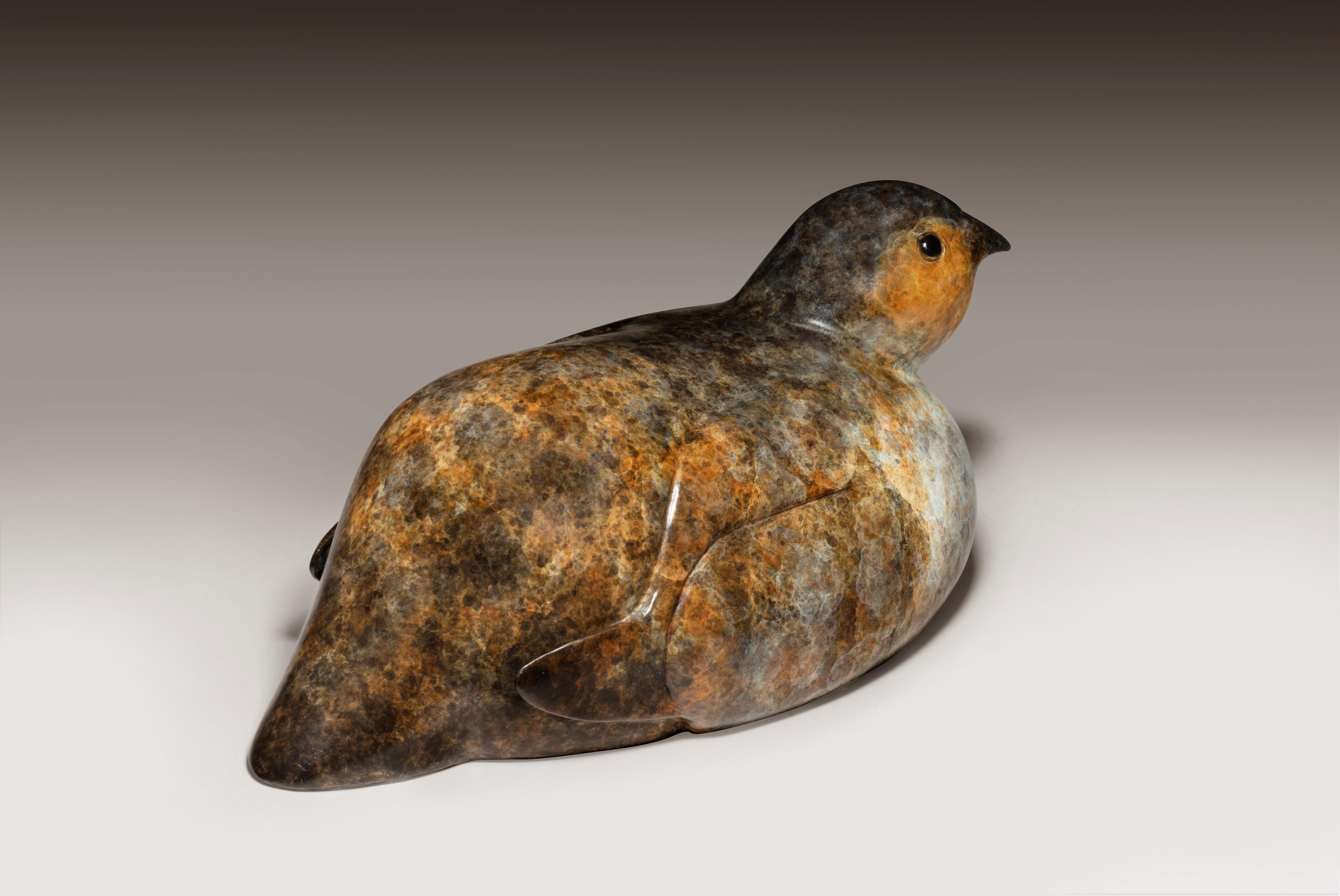 Contemporary Bronze Sculpture of a Seated Partridge, game bird, brown & White For Sale 4
