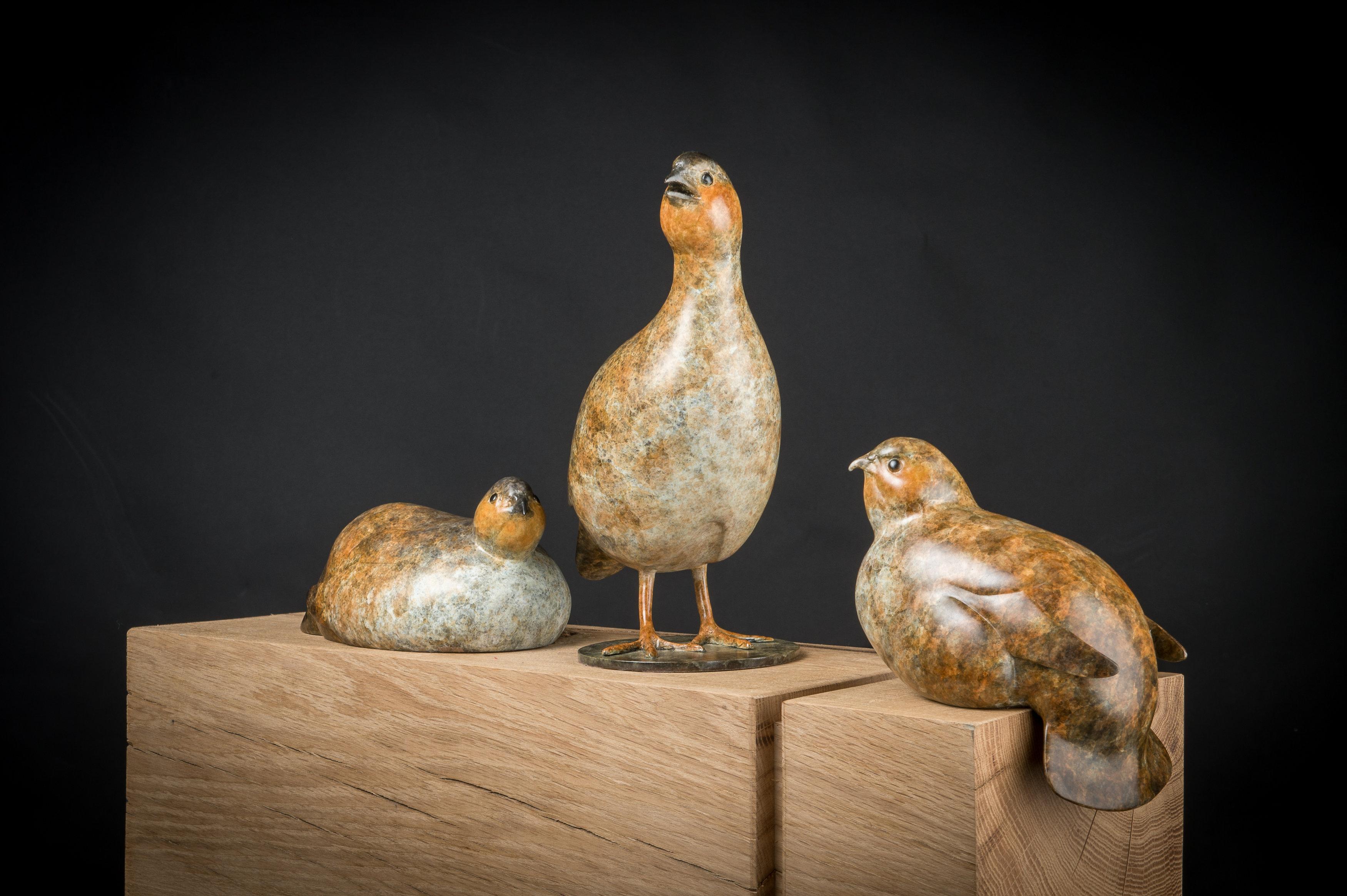 Contemporary Bronze Sculpture of a Seated Partridge, game bird, brown & White For Sale 5