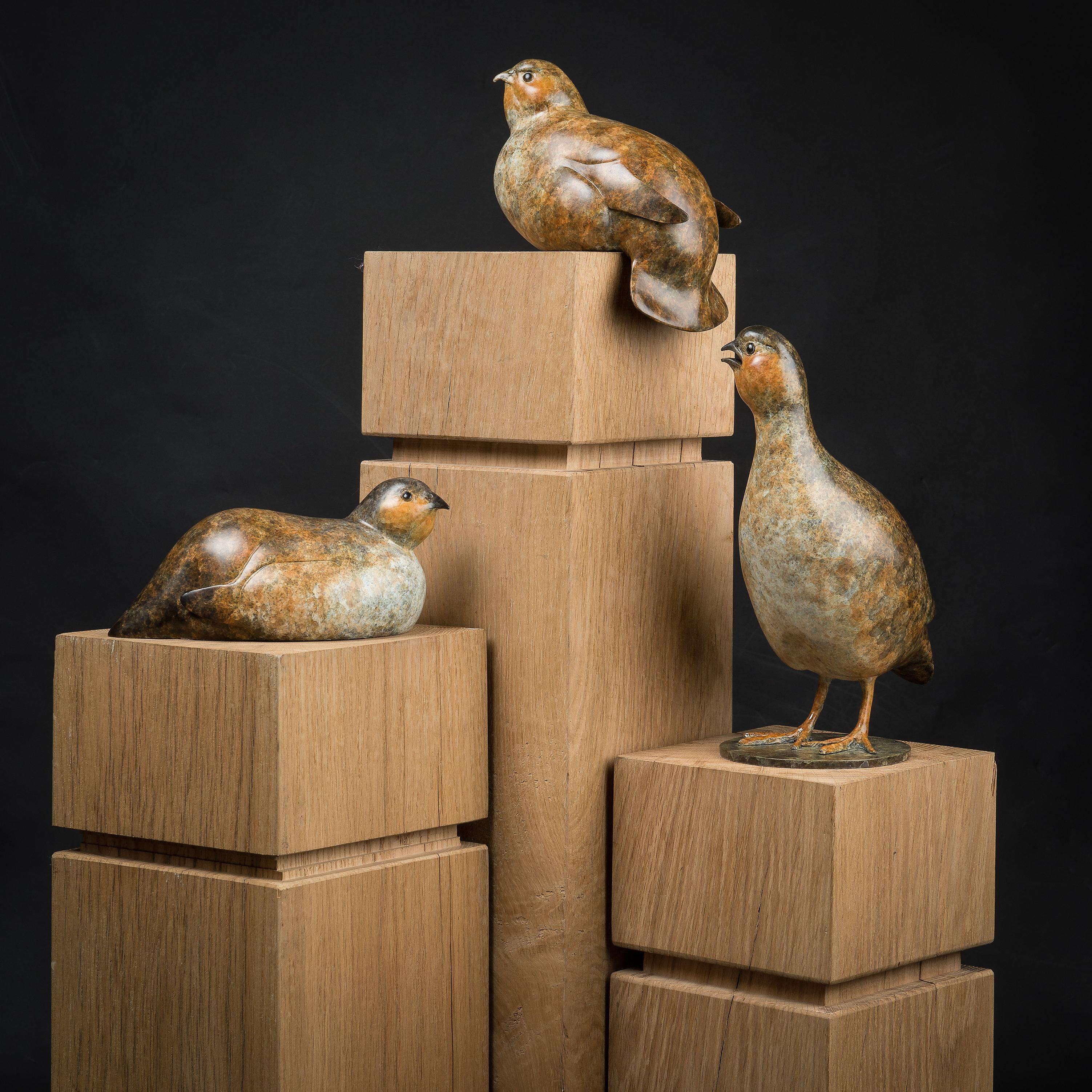 Contemporary Bronze Sculpture of a Seated Partridge, game bird, brown & White For Sale 6