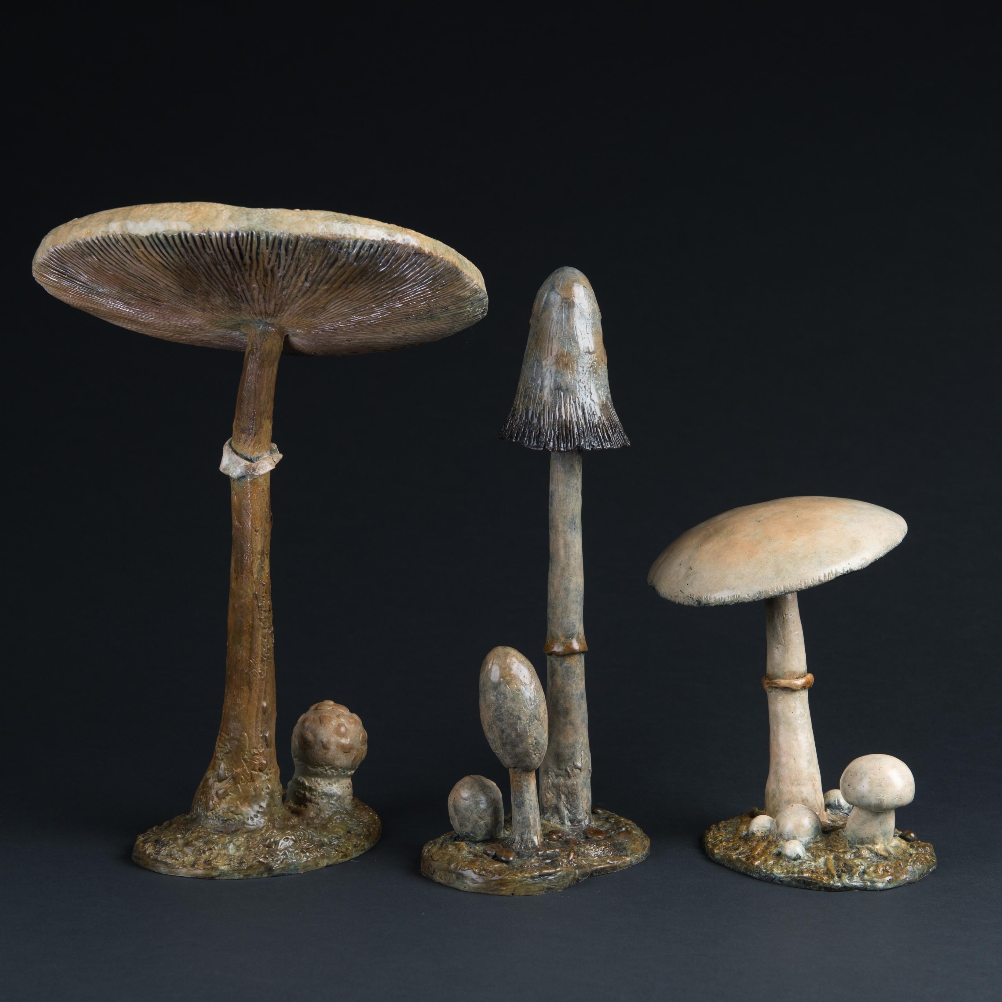 Sculpture contemporaine en bronze d'un champignon à chapeau d'encre hirsute, bois, nature en vente 4
