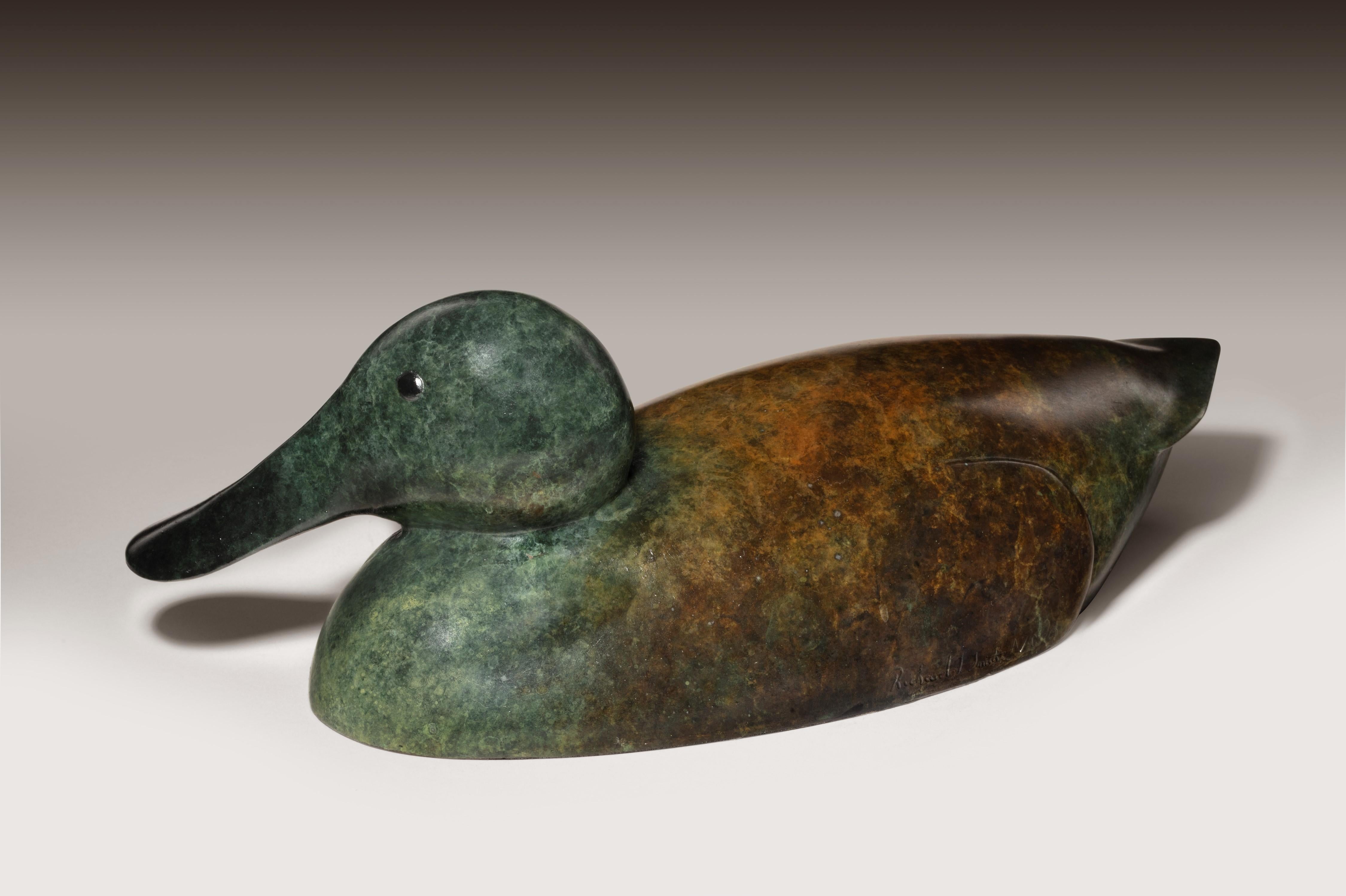 Auflage von 12 
Die Bronzeskulptur einer Löffelente ist mit einer glatten und fühlbaren Oberfläche versehen und in dunklen Grün- und Brauntönen patiniert. Sie fängt die Anmut und den unverwechselbaren Charakter dieses eleganten Wasservogels ein. Der