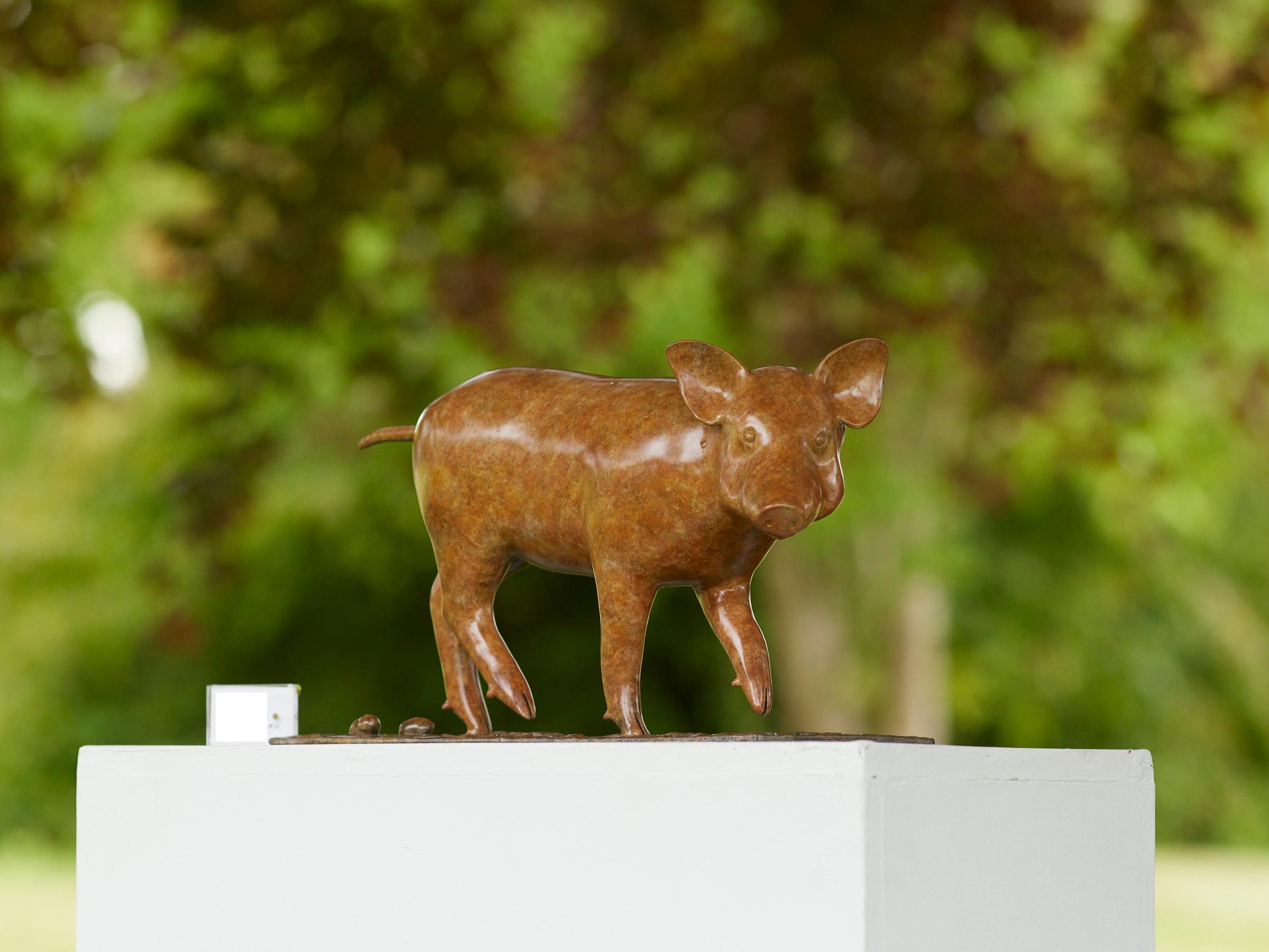 Zeitgenössische Bronze-Skulptur eines Wildschweins, englisches Land, Wildtiere, Tier – Sculpture von Richard Smith b.1955