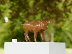 Contemporary Bronze Sculpture of a Wild Boar, english country, wildlife, animal