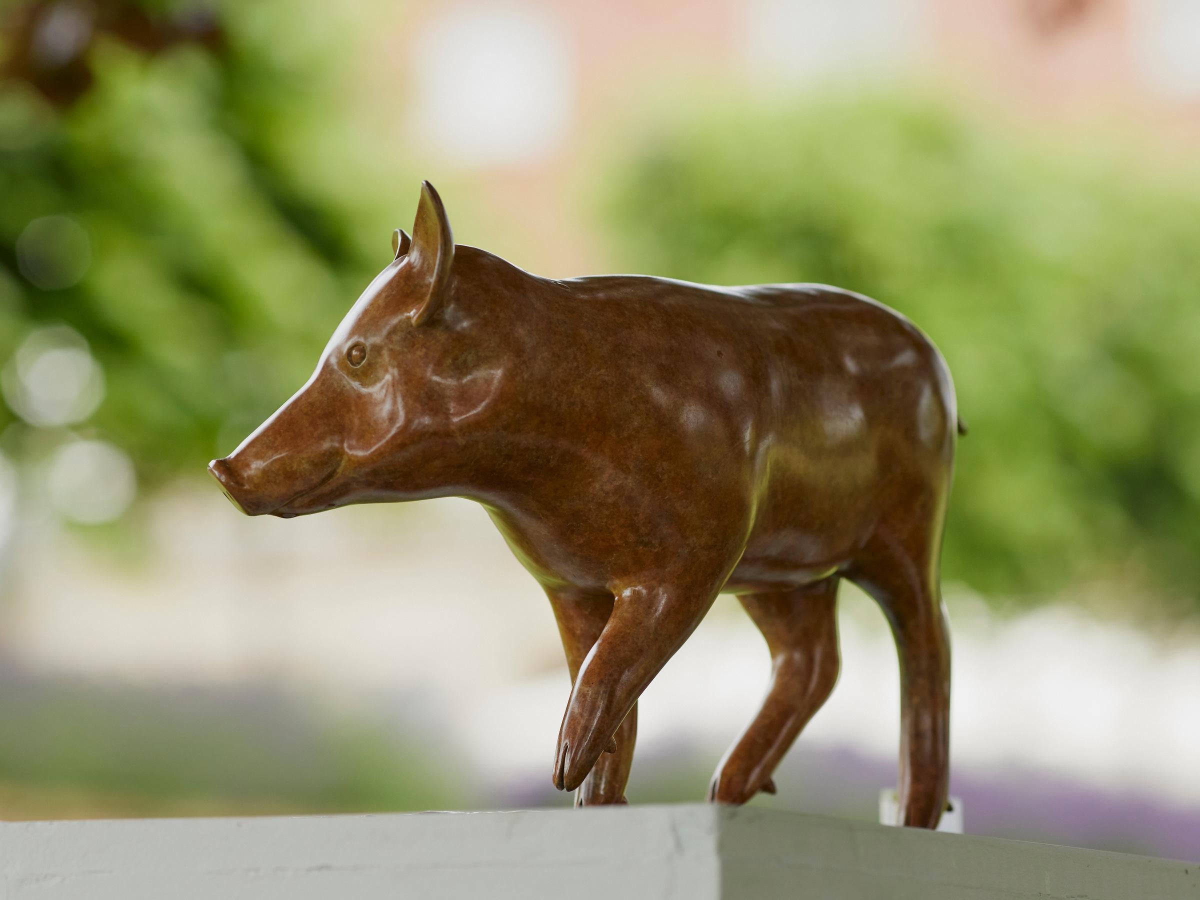Zeitgenössische Bronze-Skulptur eines Wildschweins, englisches Land, Wildtiere, Tier (Gold), Still-Life Sculpture, von Richard Smith b.1955