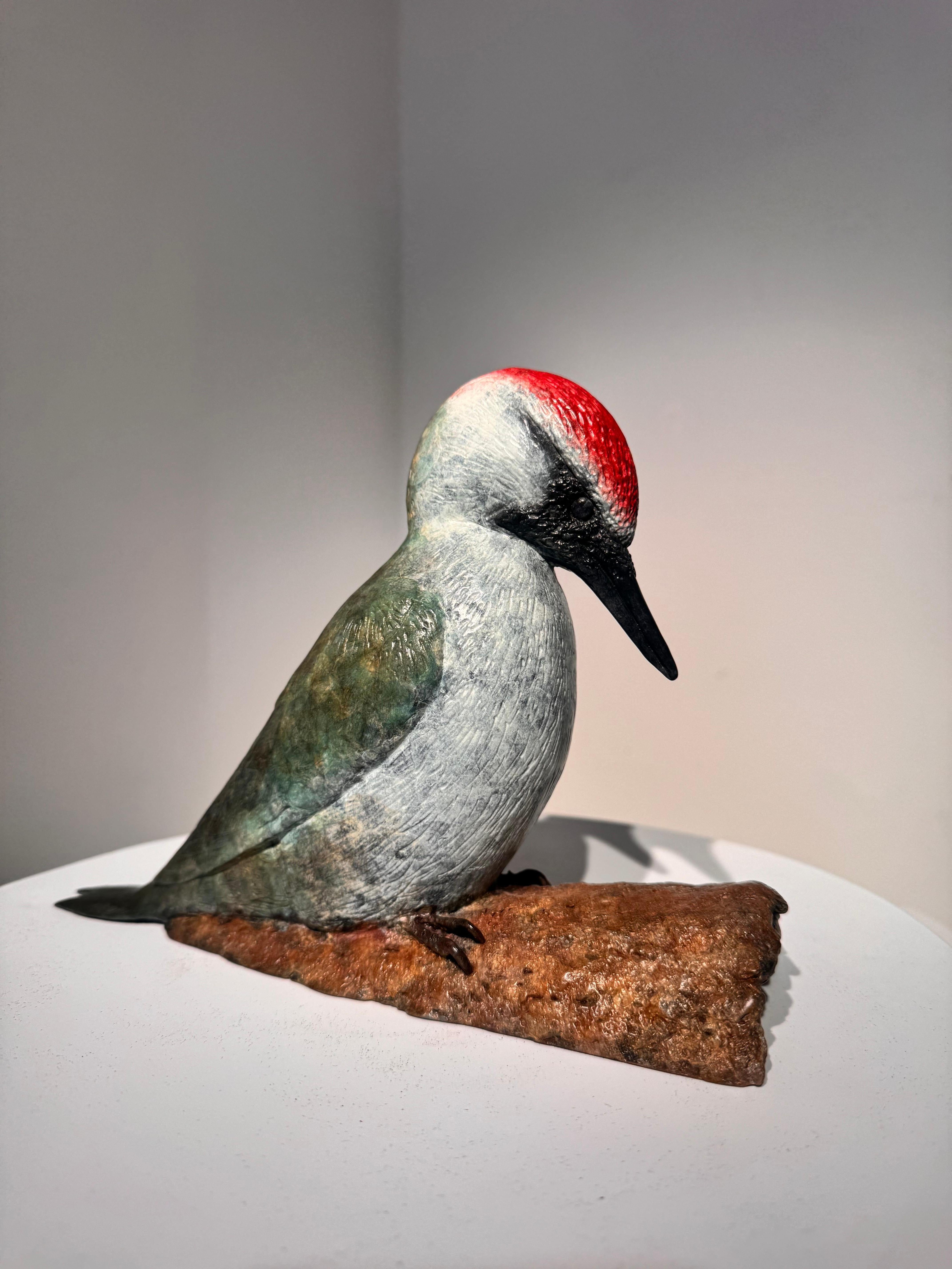 Escultura Contemporánea de Bronce de un Pájaro Carpintero, naturaleza, bosque, verde, blanco - Sculpture de Richard Smith b.1955