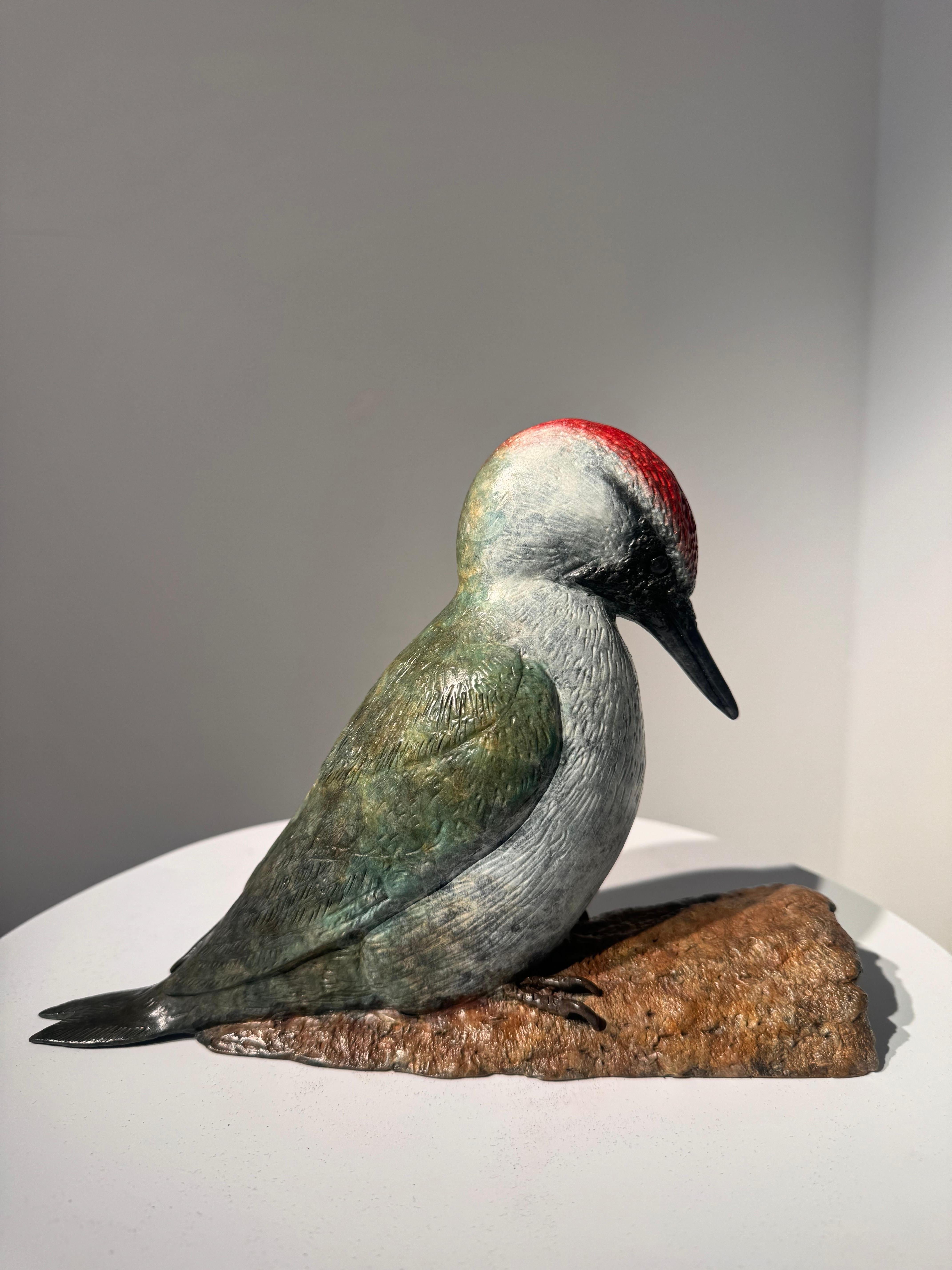 Escultura Contemporánea de Bronce de un Pájaro Carpintero, naturaleza, bosque, verde, blanco en venta 3