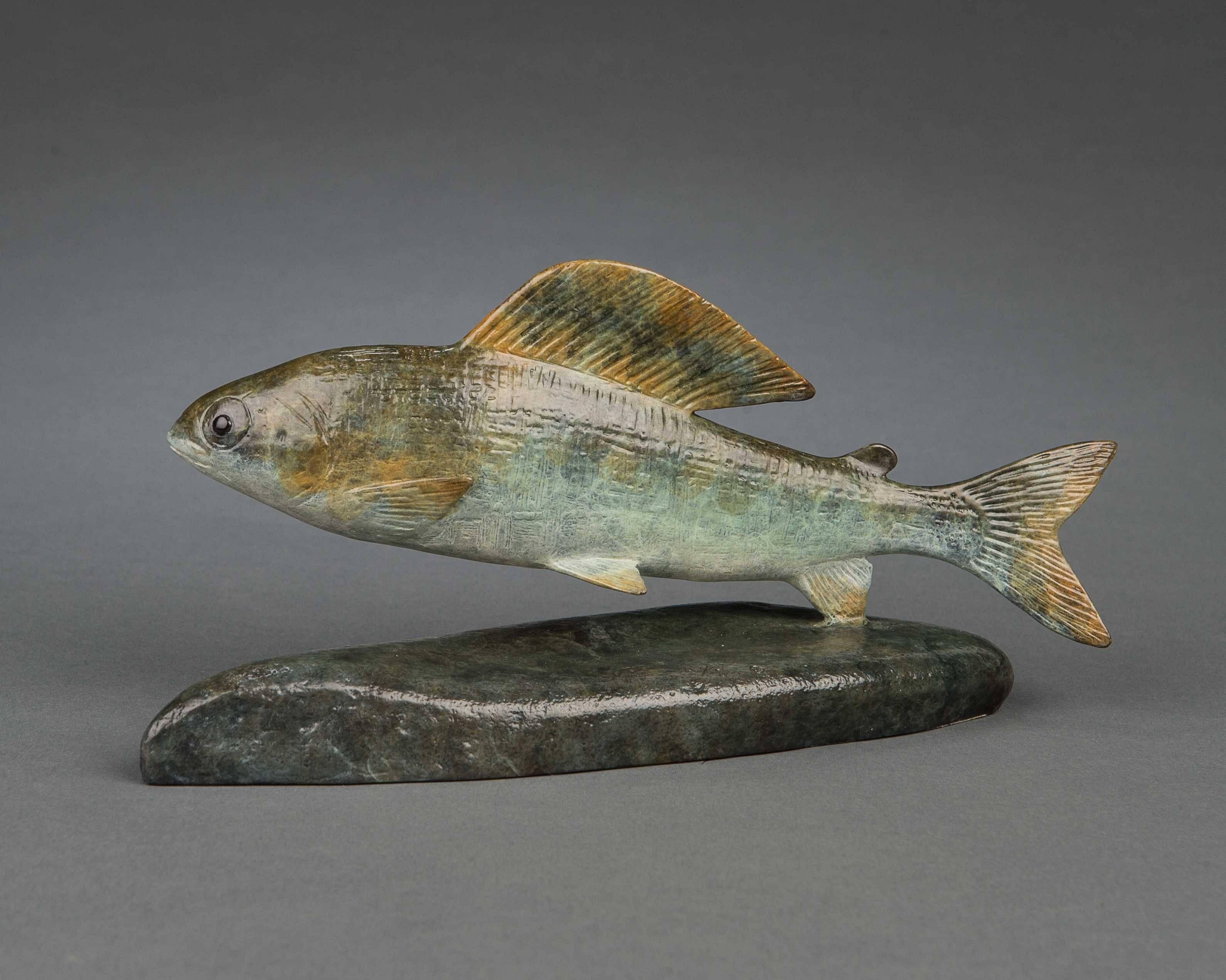 A beautiful wildlife sculpture of a 'Grayling' the perfect gift for a wildlife lover or fishing and hunting enthusiast.

Richard Smith has gained an international reputation for his works of art, he has exhibited at prestigious galleries such as the