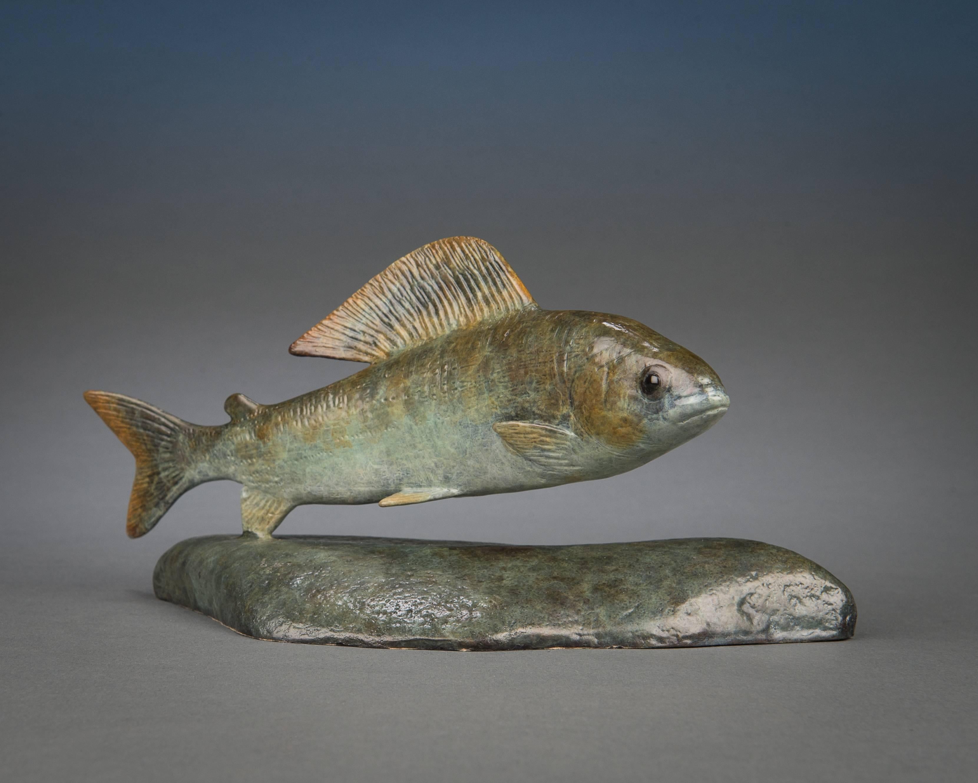 Contemporary Bronze Wildlife Fish Sculpture 'Grayling' by Richard Smith For Sale 1
