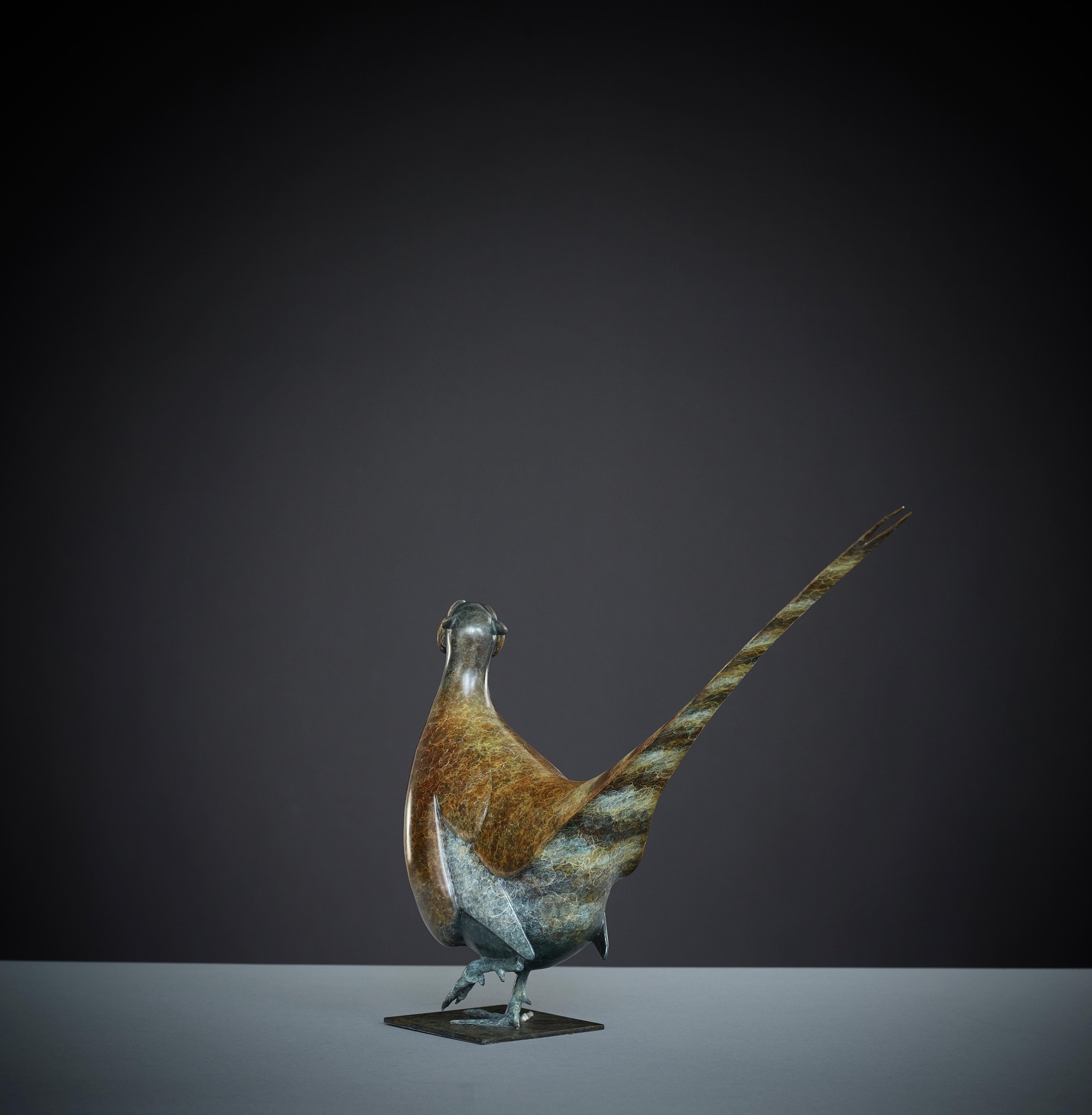 cock Pheasant