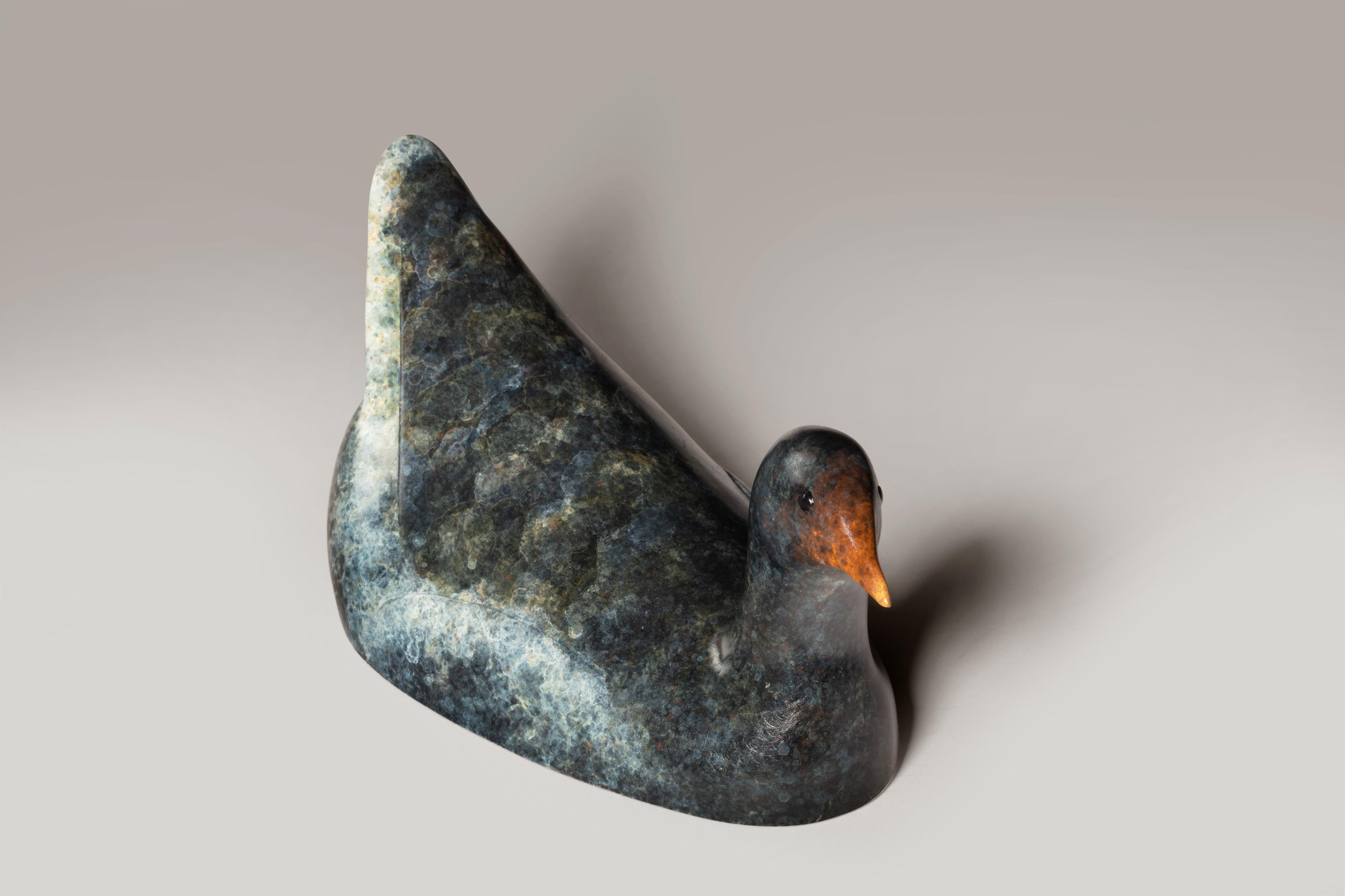 Contemporary Bronze Wildlife Sculpture 'Moorhen' by Richard Smith For Sale 4