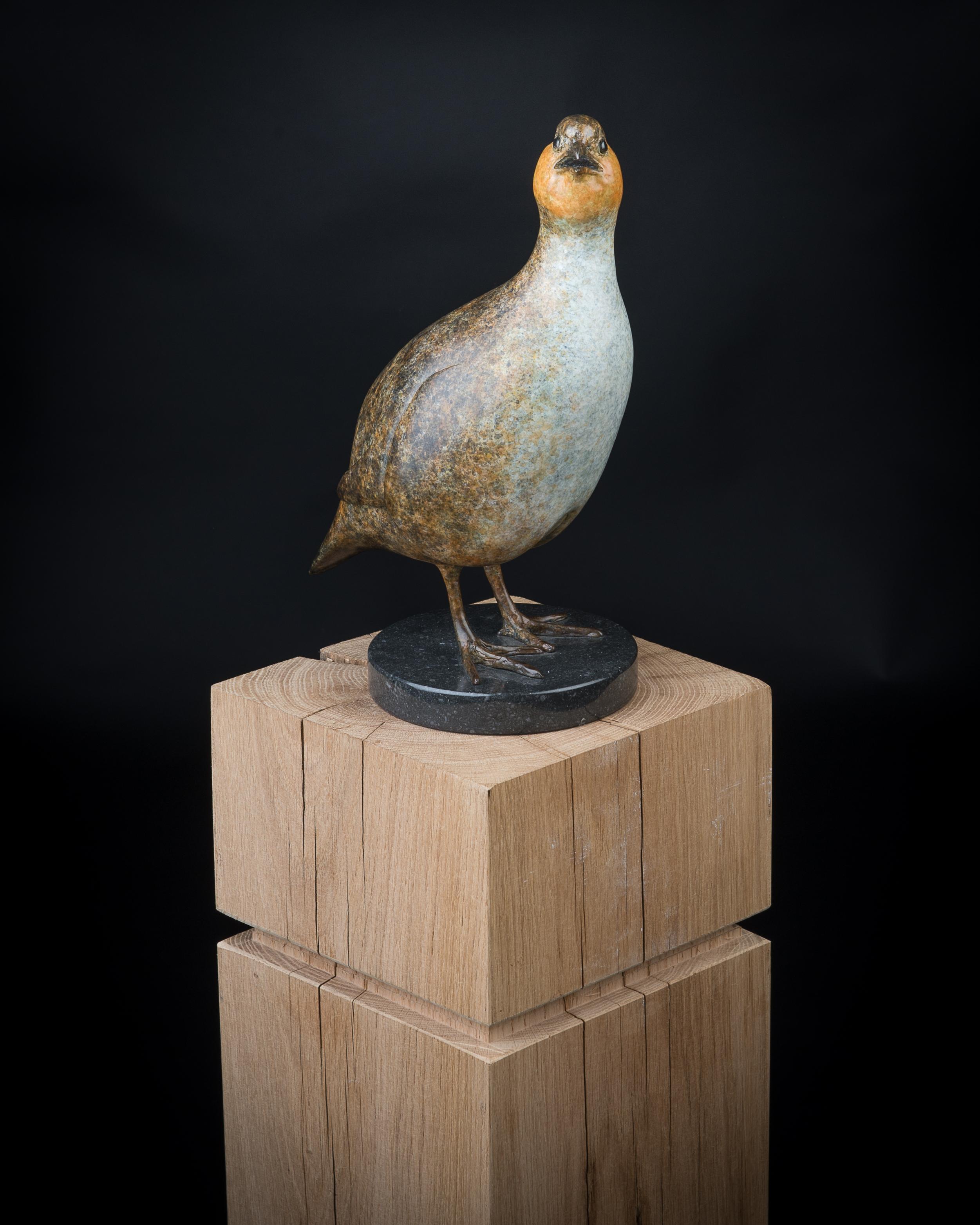 Contemporary Bronze Wildlife Sculpture 'Standing Partridge' by Richard Smith For Sale 1