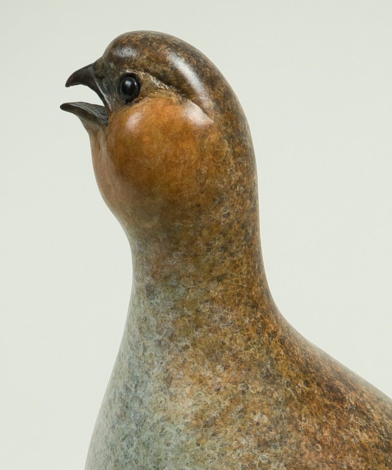 Contemporary Bronze Wildlife Sculpture 'Standing Partridge' by Richard Smith For Sale 4