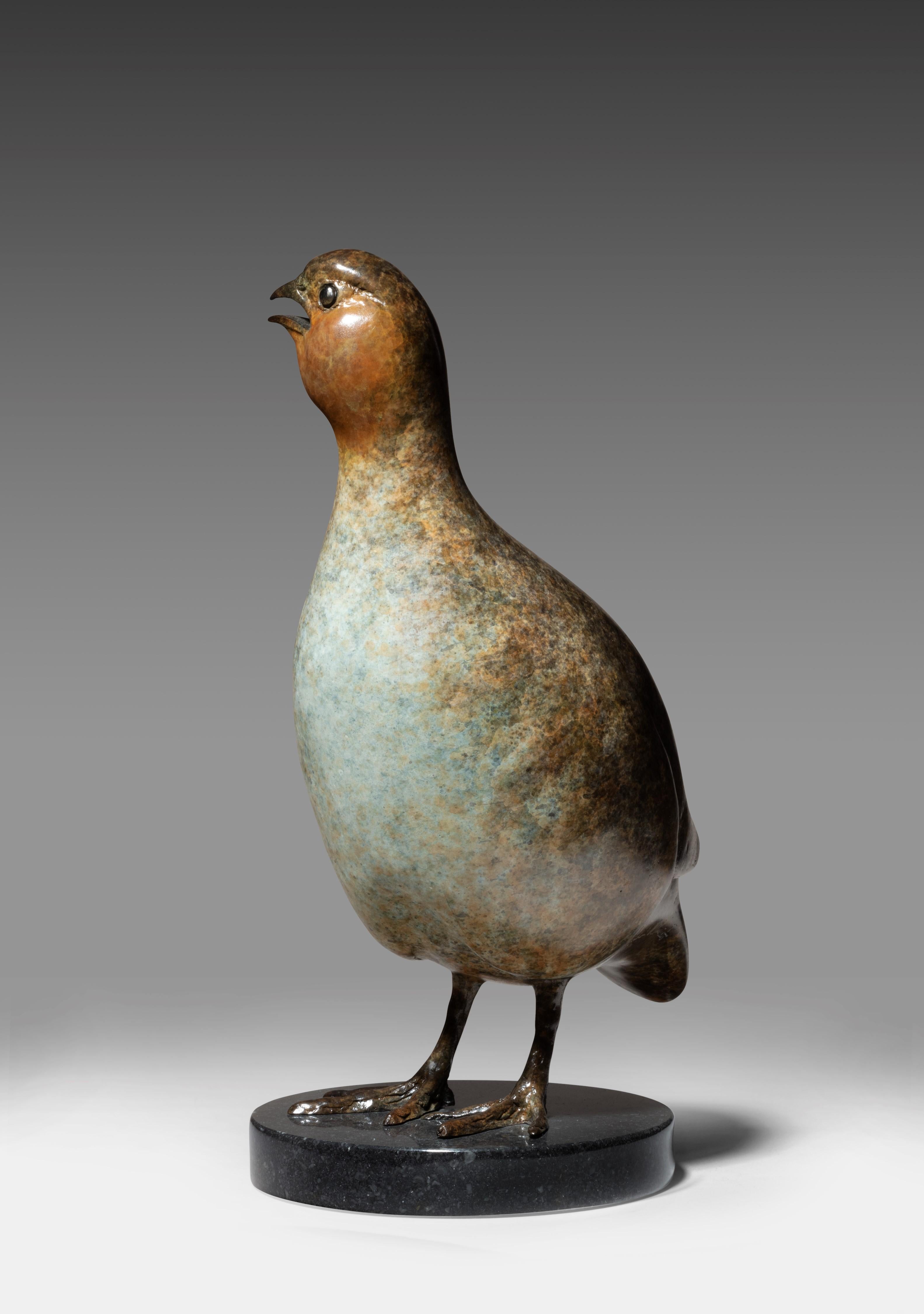 Contemporary Bronze Wildlife Sculpture 'Standing Partridge' by Richard Smith For Sale 6