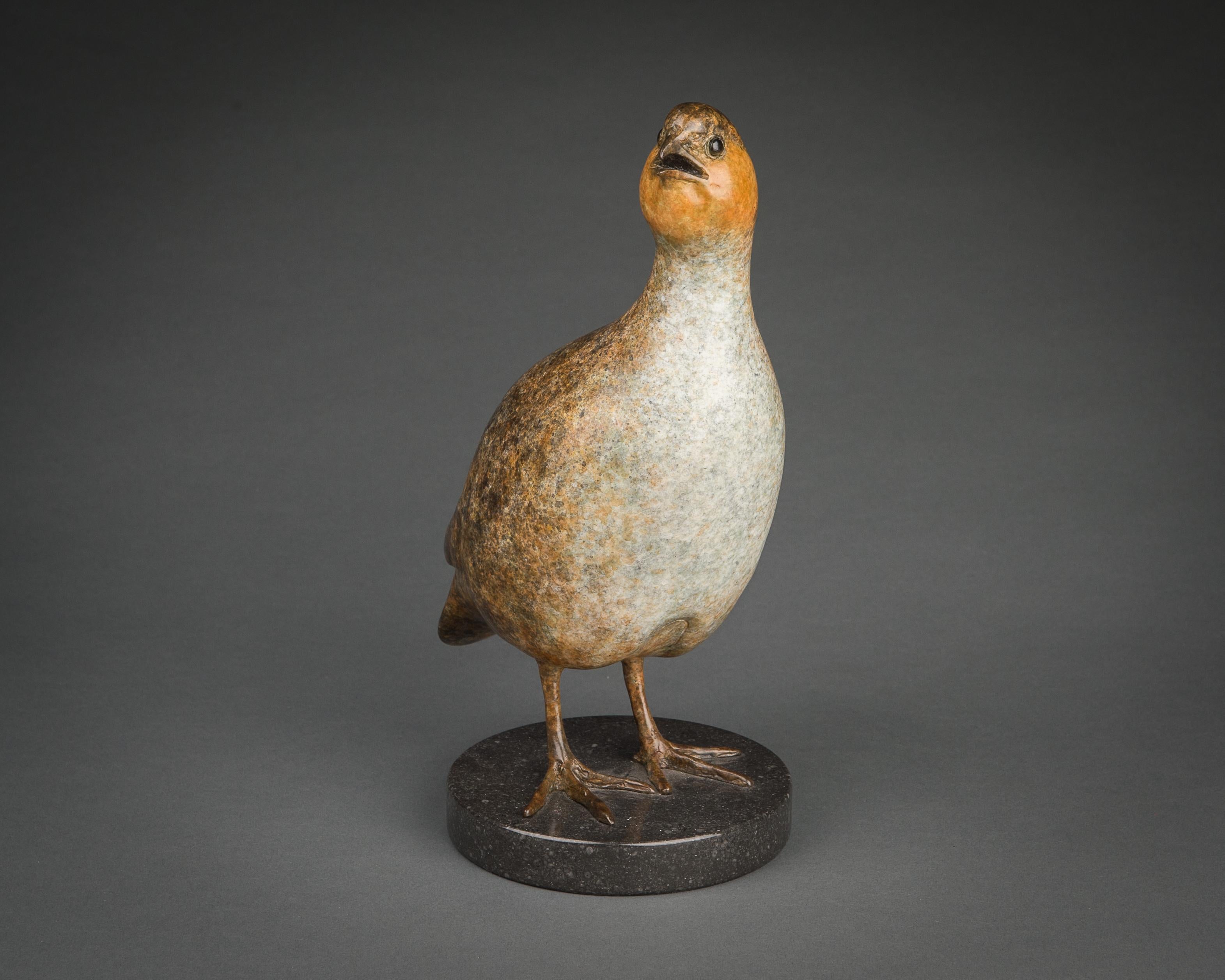 Contemporary Bronze Wildlife Sculpture 'Standing Partridge' by Richard Smith