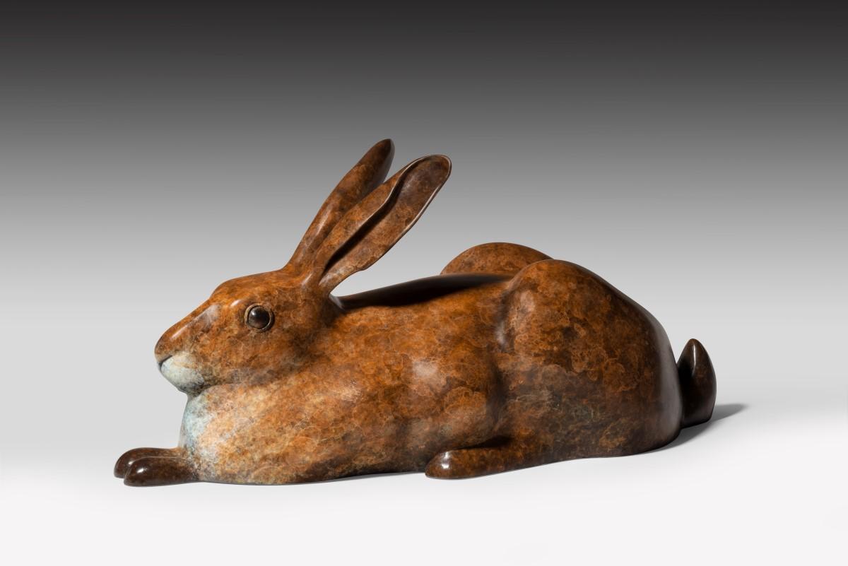 Richard J. Smith est né à Luton, dans le Bedfordshire, au Royaume-Uni, en 1955. Il a suivi des études d'illustration de haut niveau à la Luton School of Art et a obtenu un diplôme en illustration technique et scientifique. Il se voit bientôt