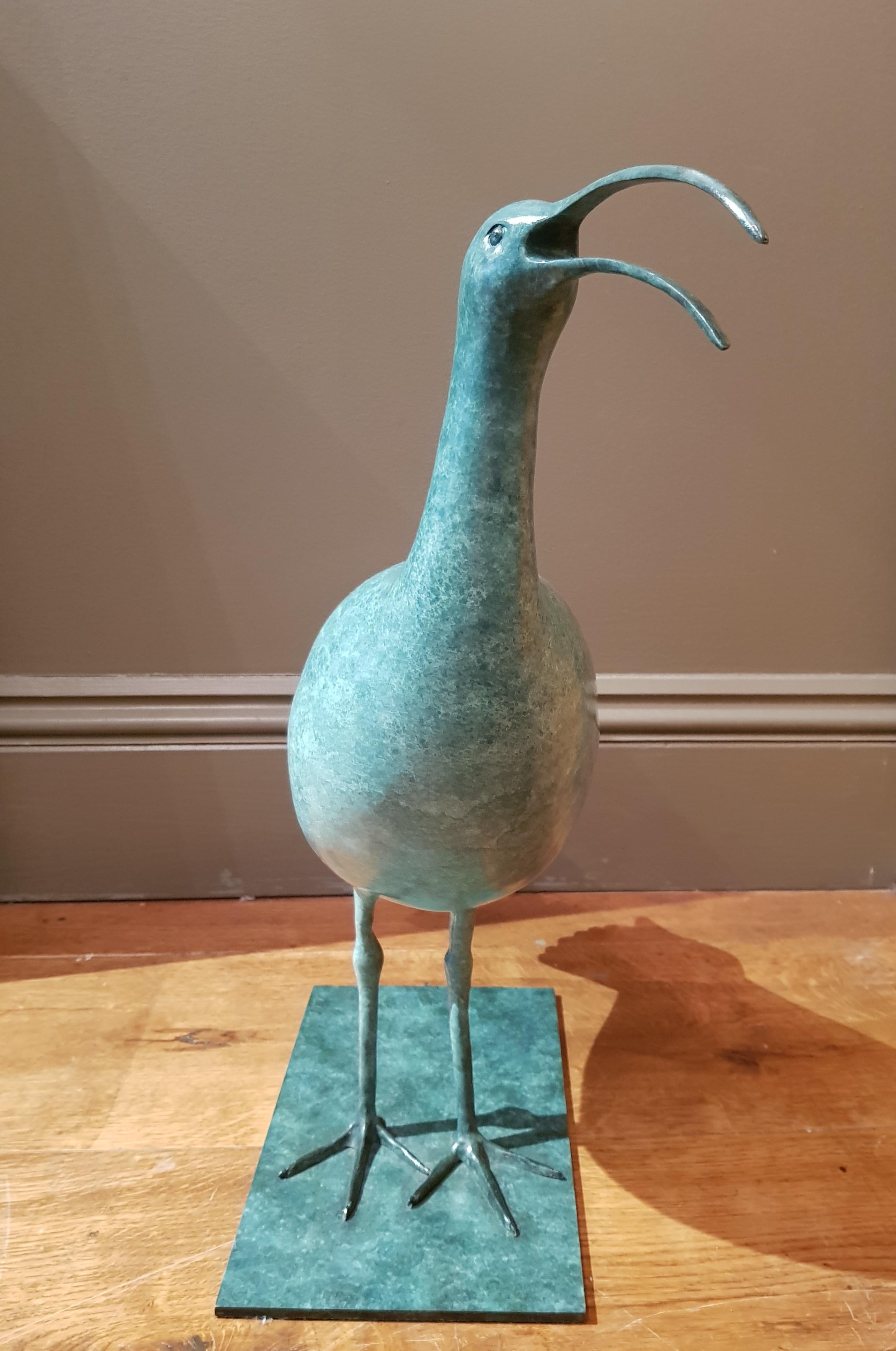 Sculpture contemporaine en bronze vert Appelant Callew, faune anglaise, oiseau d'eau en vente 1