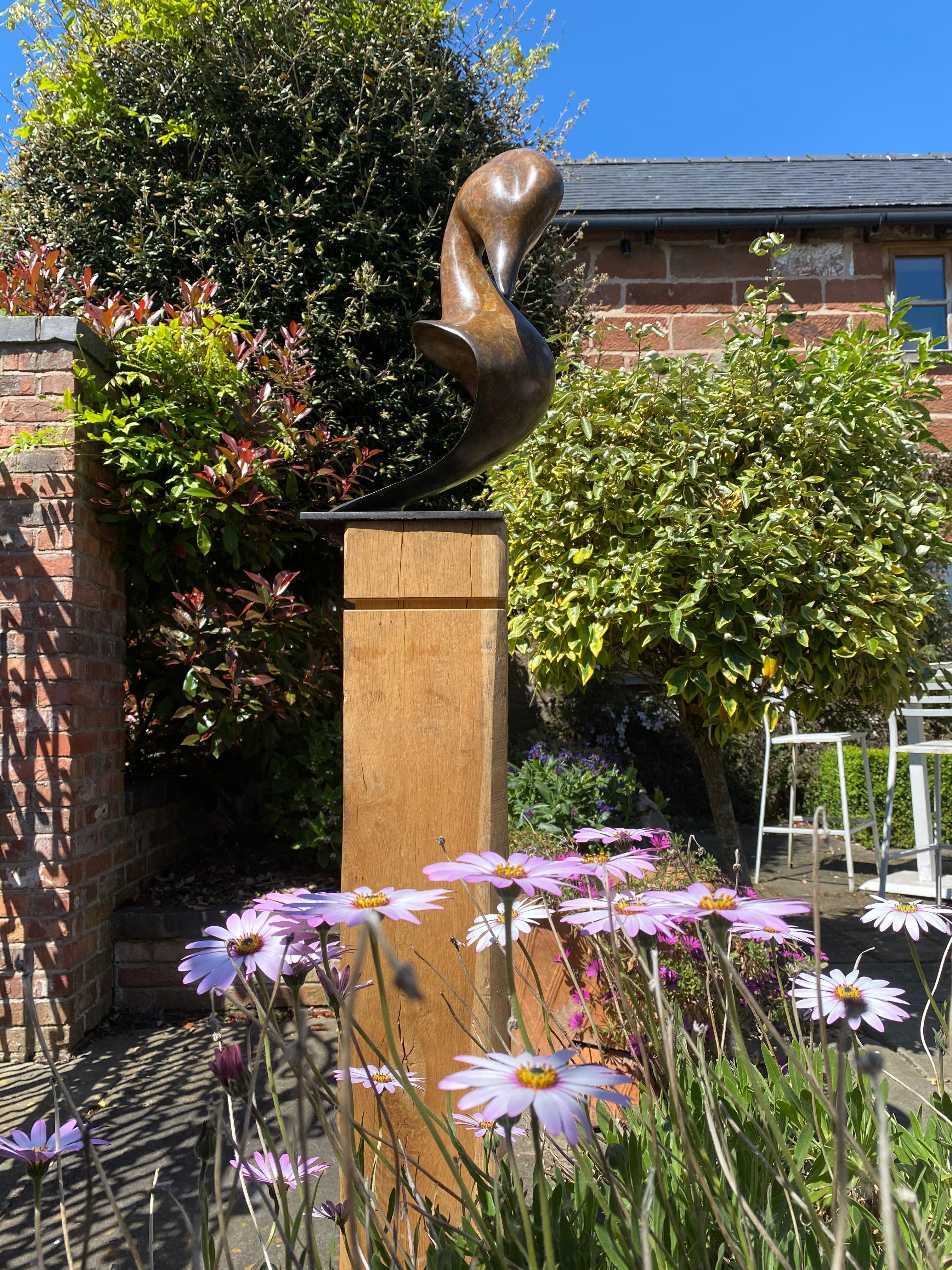 Contemporary large Bronze Wildlife Sculpture 'Pintail Head' by Richard Smith  8