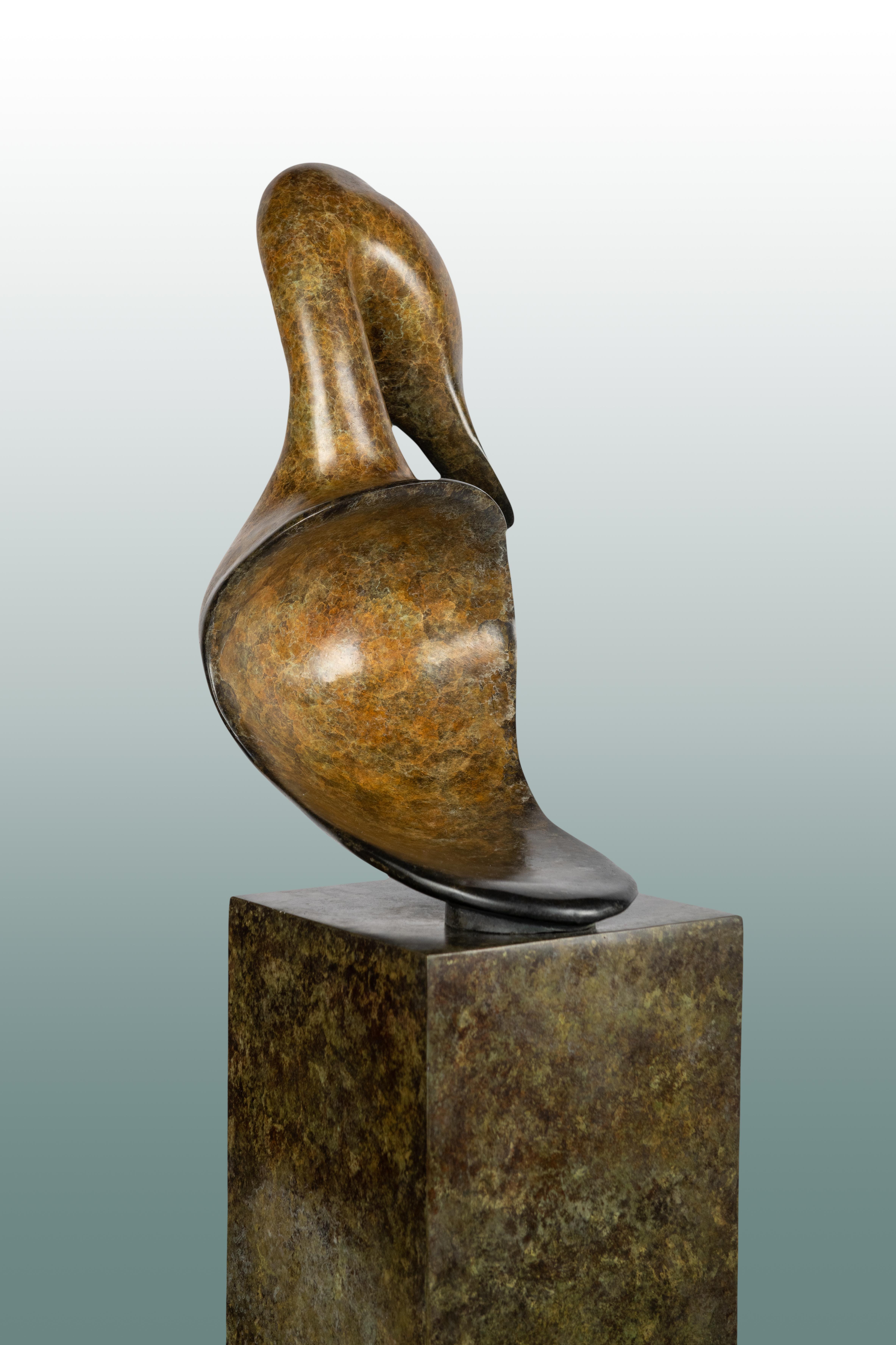 Contemporary large Bronze Wildlife Sculpture 'Pintail Head' by Richard Smith  9