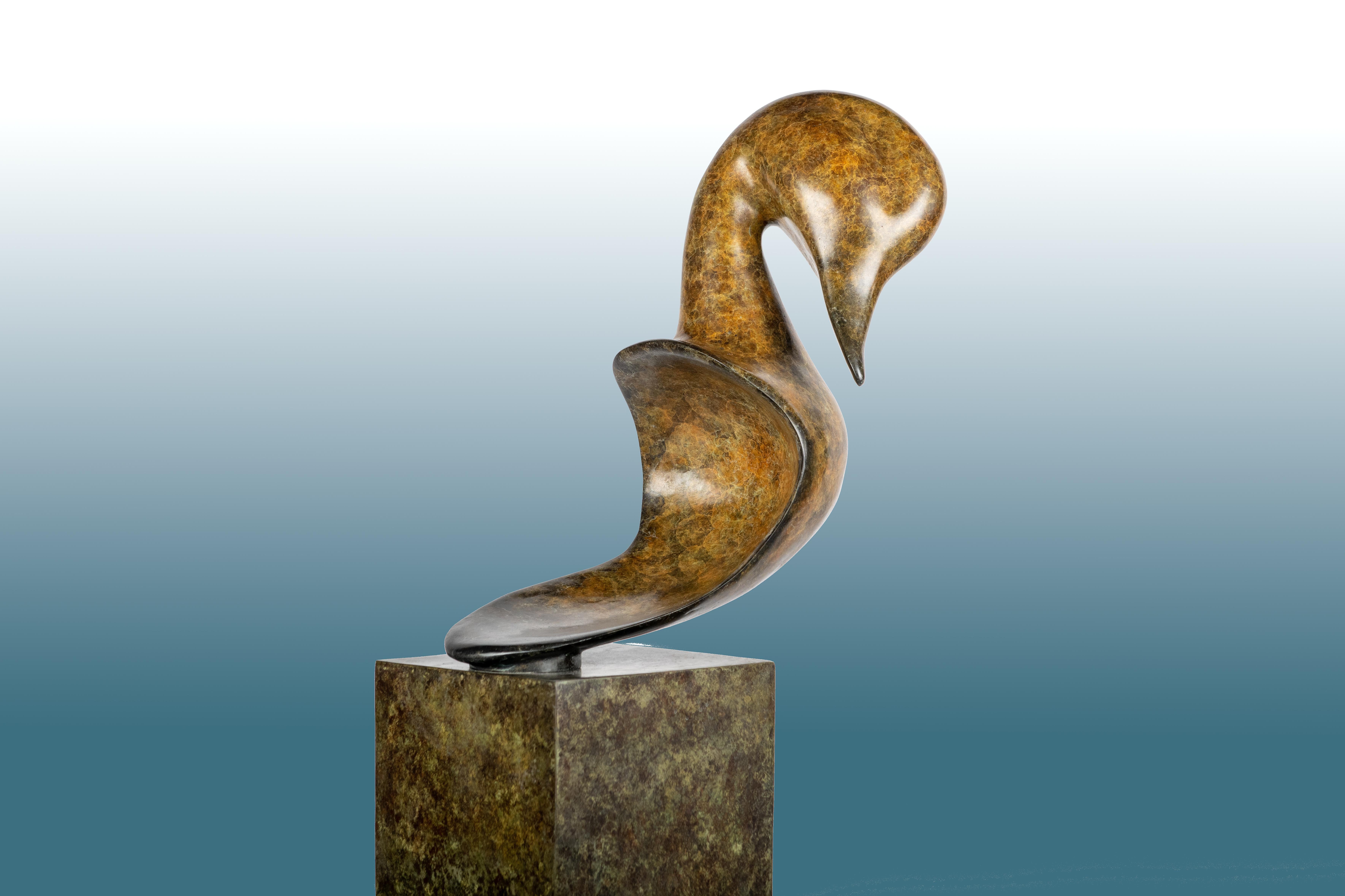 Contemporary large Bronze Wildlife Sculpture 'Pintail Head' by Richard Smith  10