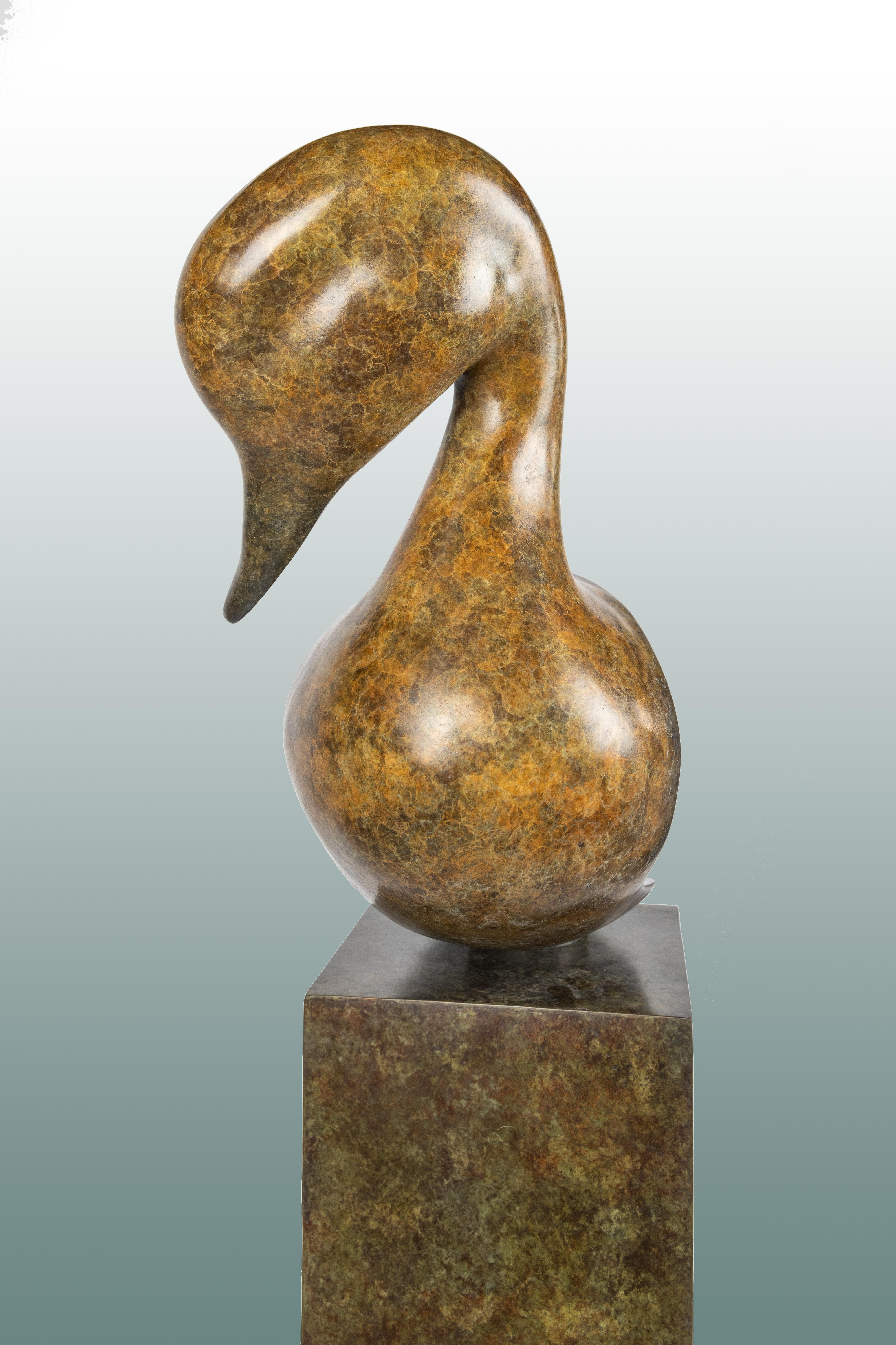 Contemporary large Bronze Wildlife Sculpture 'Pintail Head' by Richard Smith  1