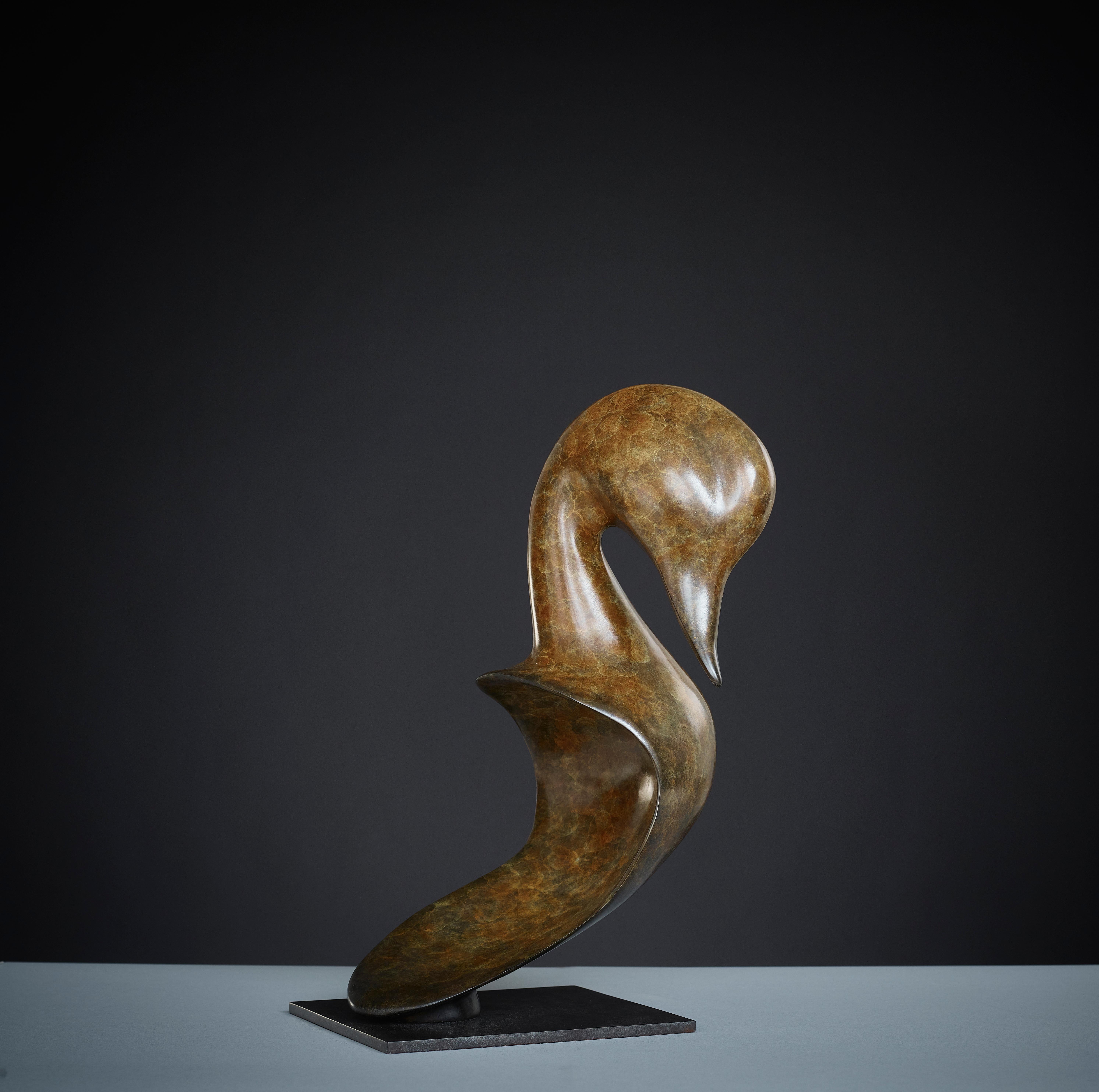 Contemporary large Bronze Wildlife Sculpture 'Pintail Head' by Richard Smith  For Sale 2