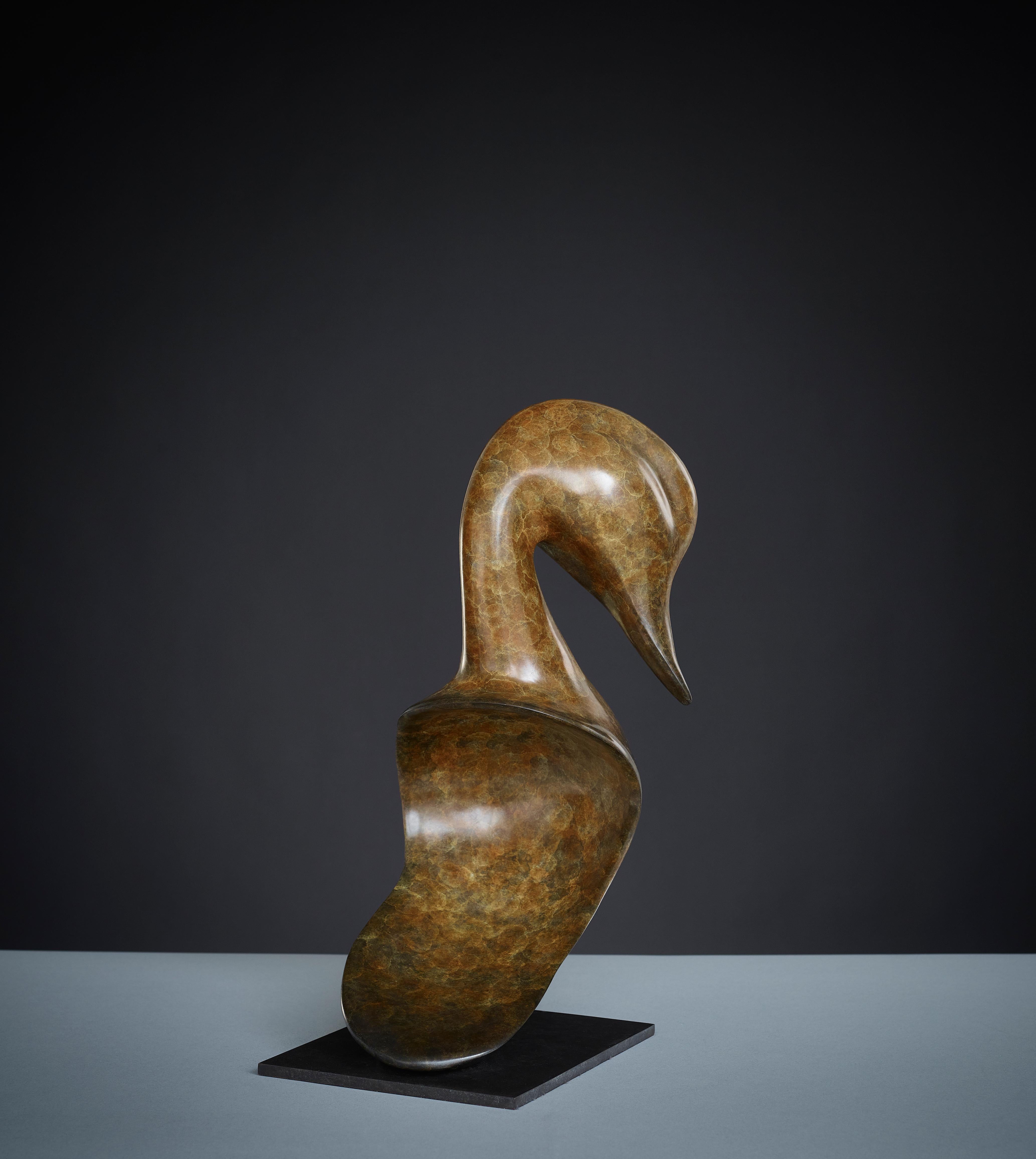 Contemporary large Bronze Wildlife Sculpture 'Pintail Head' by Richard Smith  6