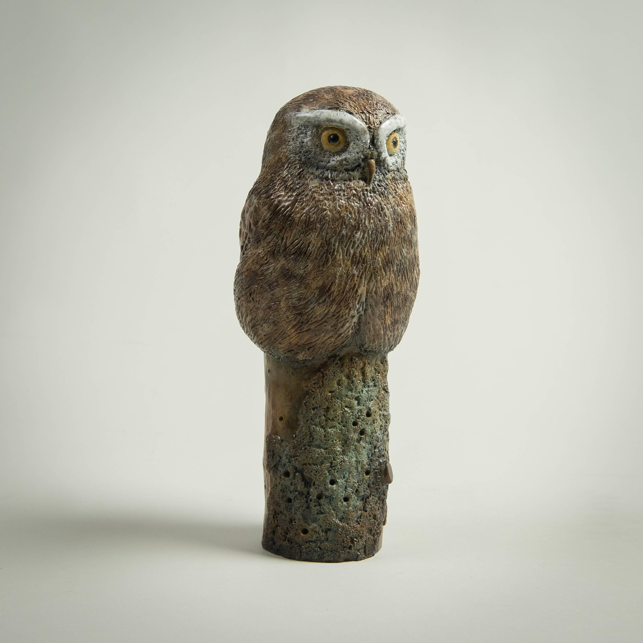 Contemporary Solid Bronze Wildlife Sculpture 'Little Owl' by Richard Smith 1