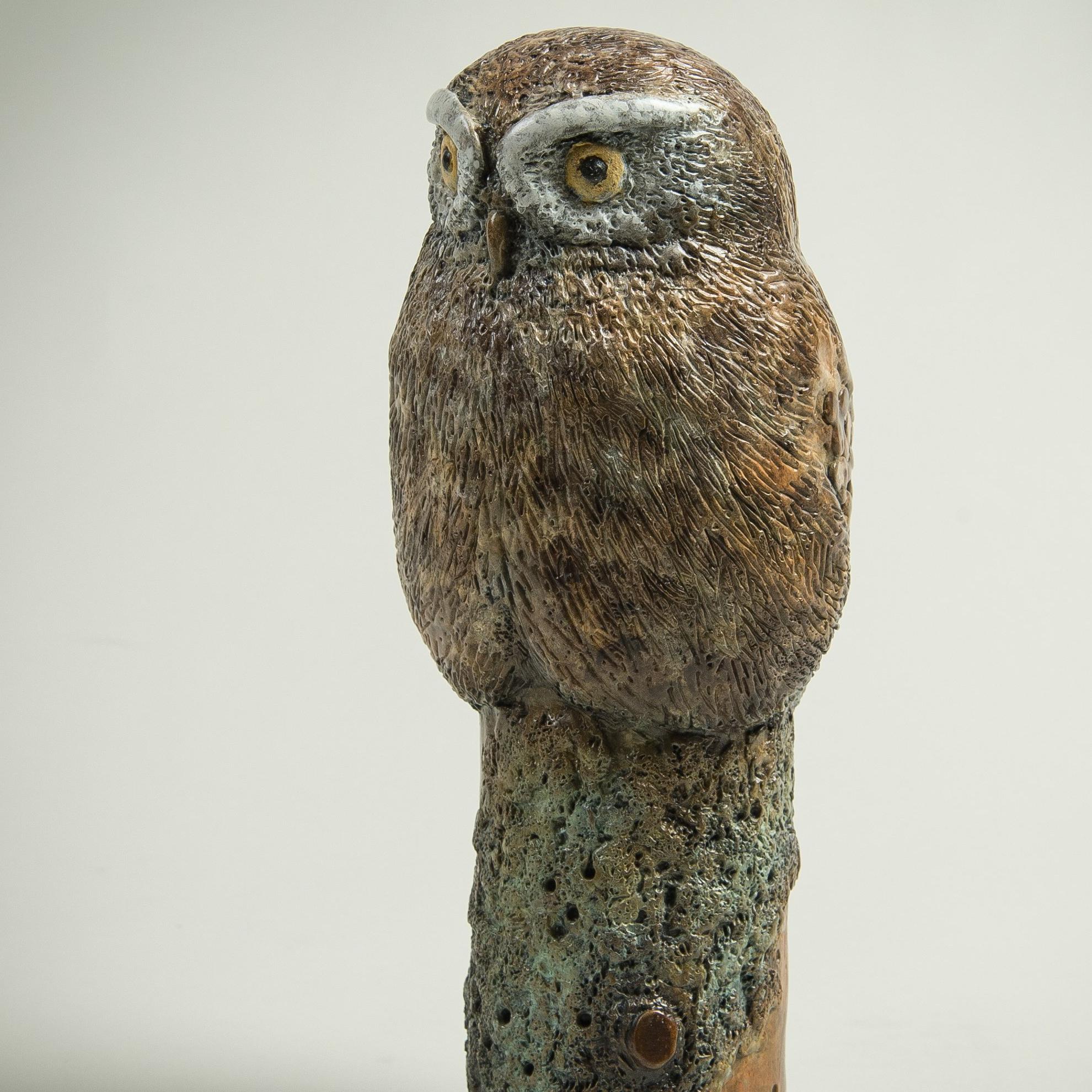 Contemporary Solid Bronze Wildlife Sculpture 'Little Owl' by Richard Smith 2