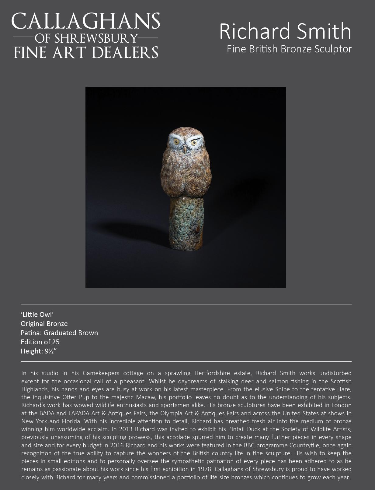 Contemporary Solid Bronze Wildlife Sculpture 'Little Owl' by Richard Smith - Gold Still-Life Sculpture by Richard Smith b.1955