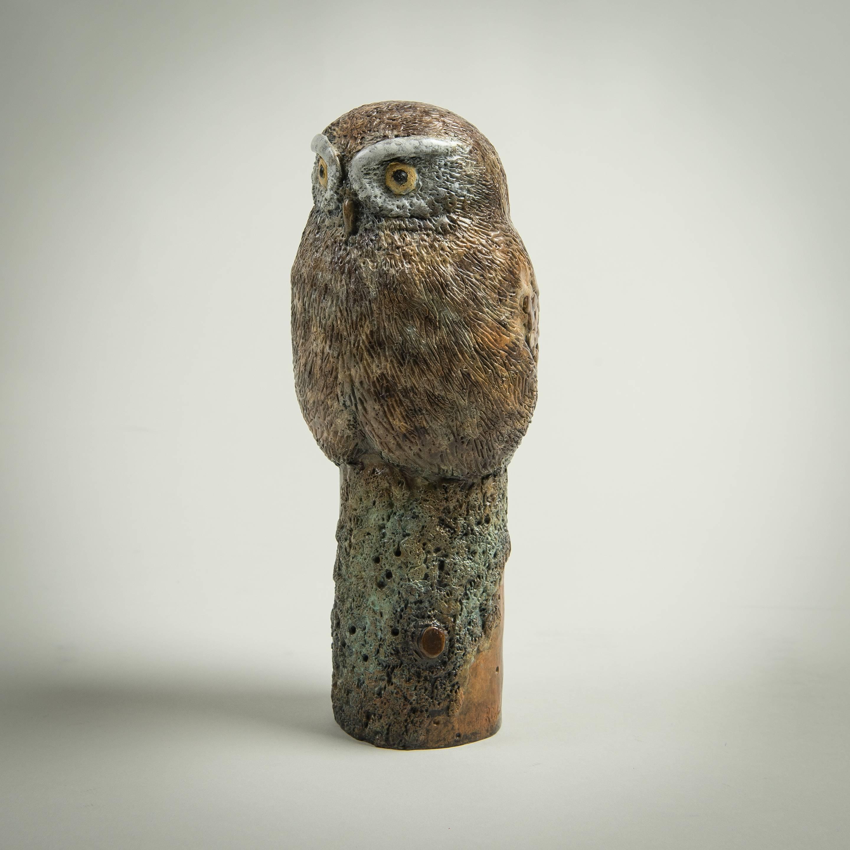 Richard Smith b.1955 Still-Life Sculpture - Contemporary Solid Bronze Wildlife Sculpture 'Little Owl' by Richard Smith