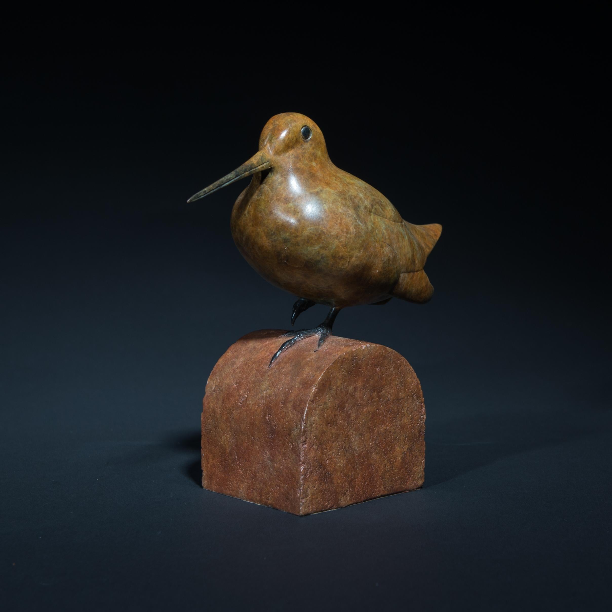 Contemporary Wildlife Bronze Sculpture Patinated 'Woodcock' by Richard Smith For Sale 1
