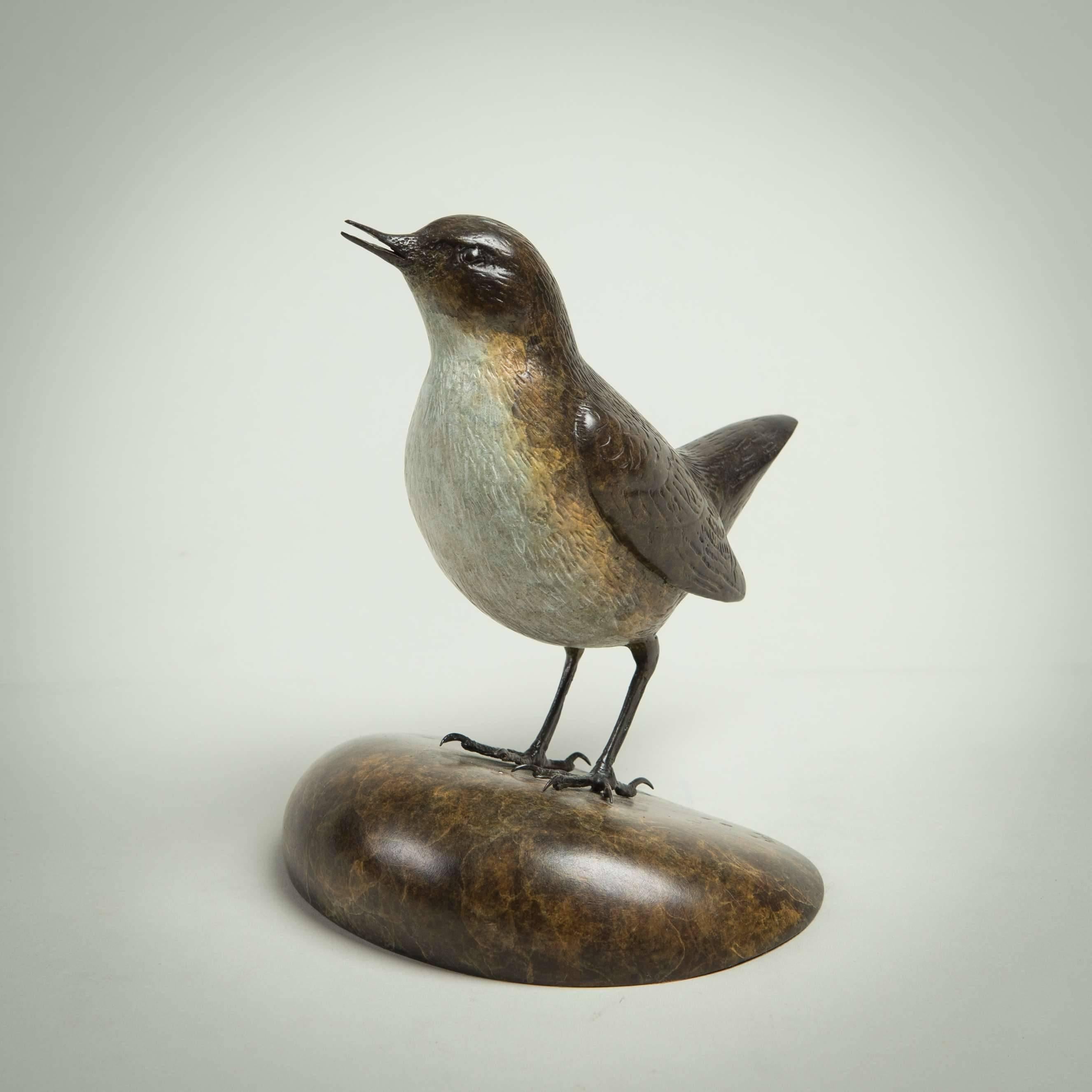 Moderne Vogelskulptur „Dipper“ aus massiver Bronze, britische Wildtiere und Natur  – Sculpture von Richard Smith b.1955