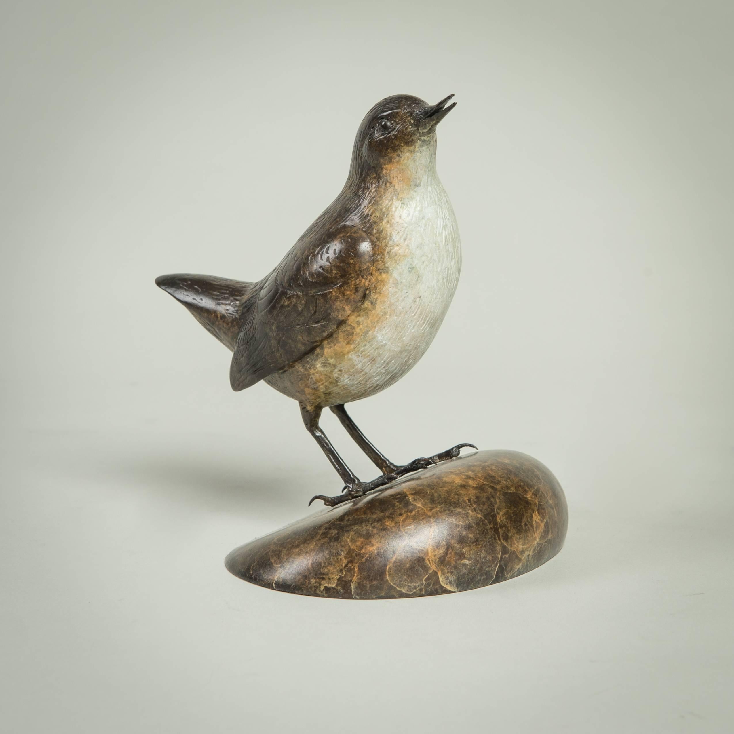 Moderne Vogelskulptur „Dipper“ aus massiver Bronze, britische Wildtiere und Natur 