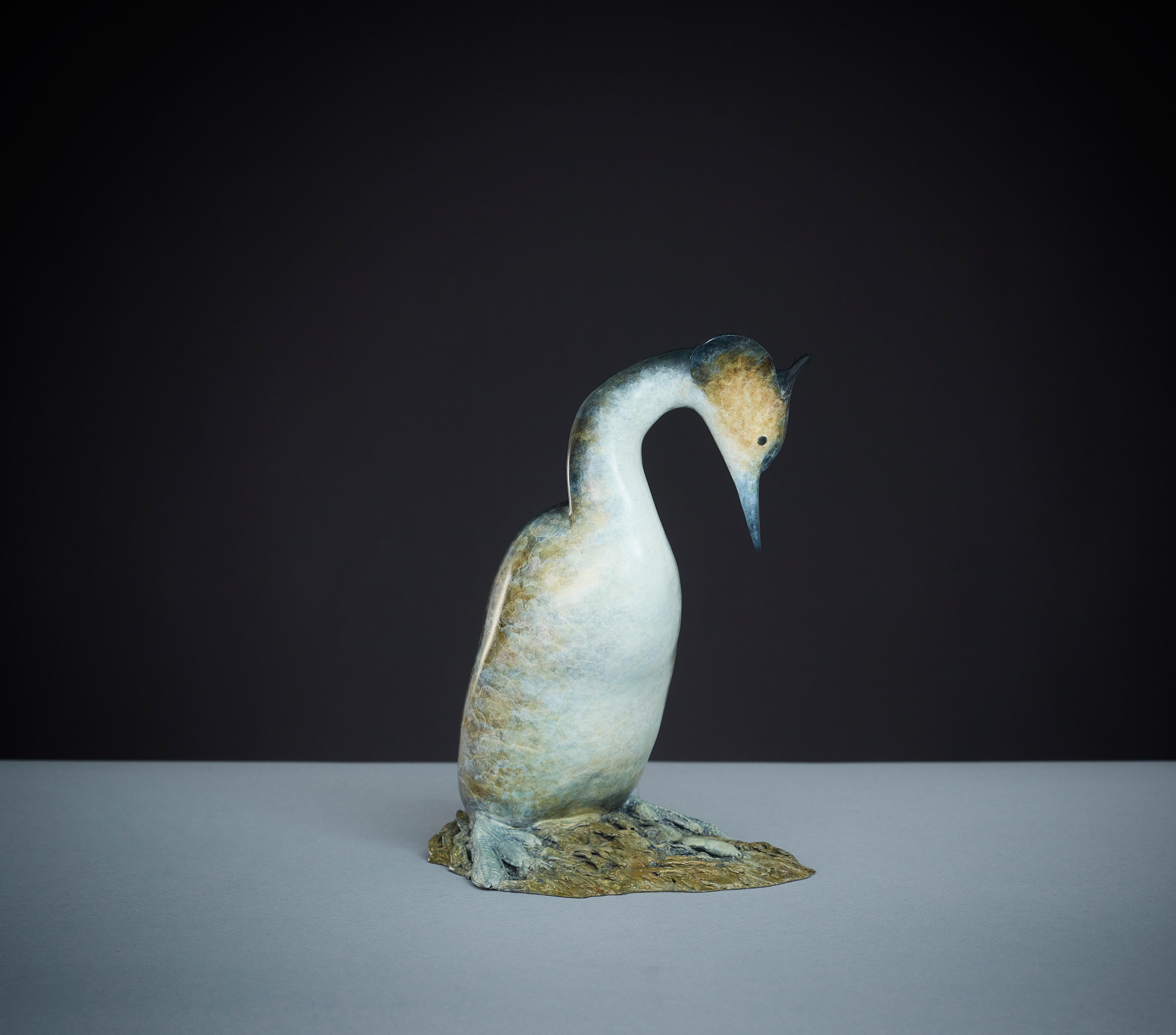 Figurative Sculpture de Richard Smith b.1955 - Somormujo lavanco" de Richard Smith Escultura contemporánea de bronce de fauna salvaje