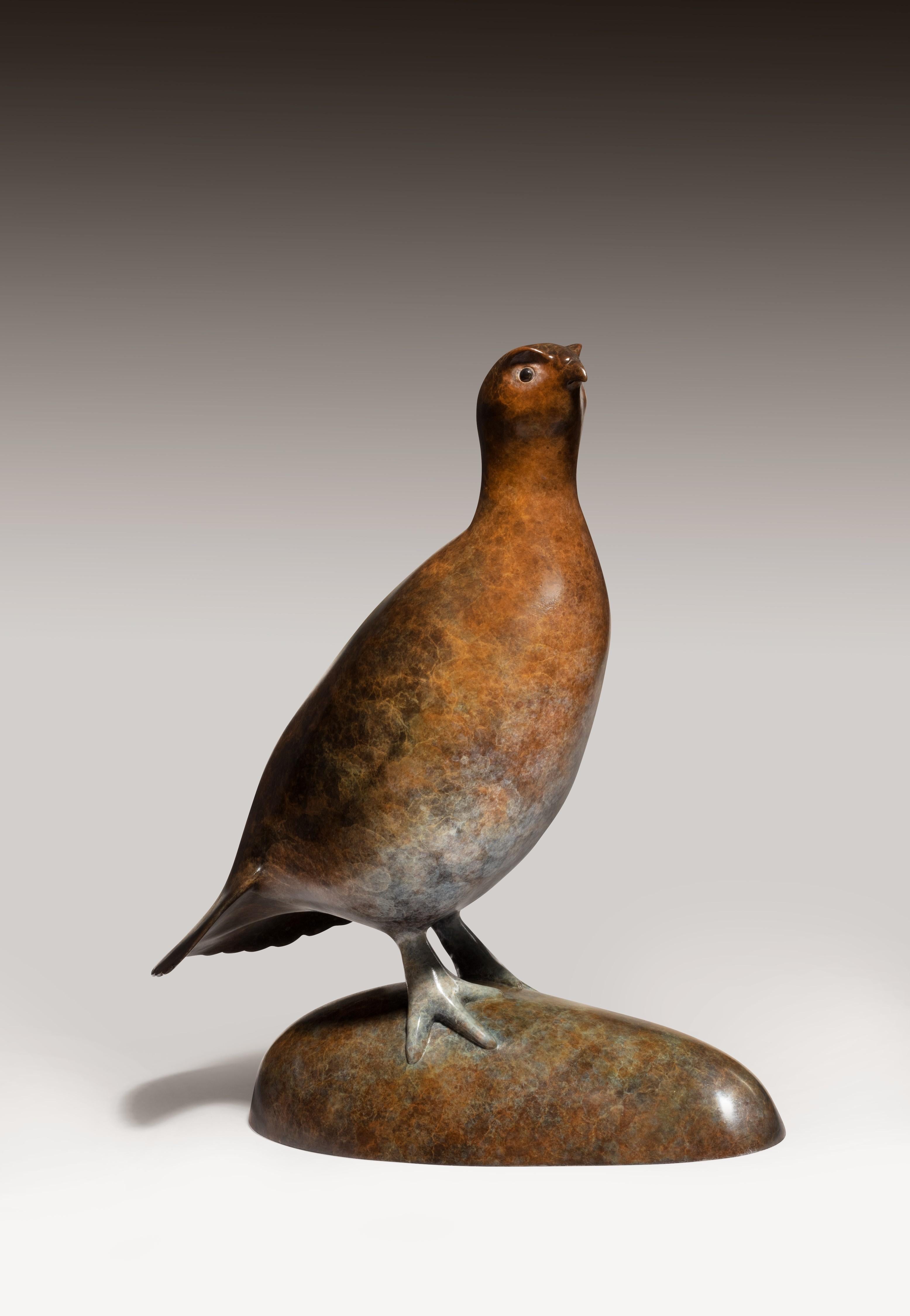 Richard Smith b.1955 Figurative Sculpture - 'Grouse' Contemporary Bronze Country Wildlife Bird Sculpture, patinated brown
