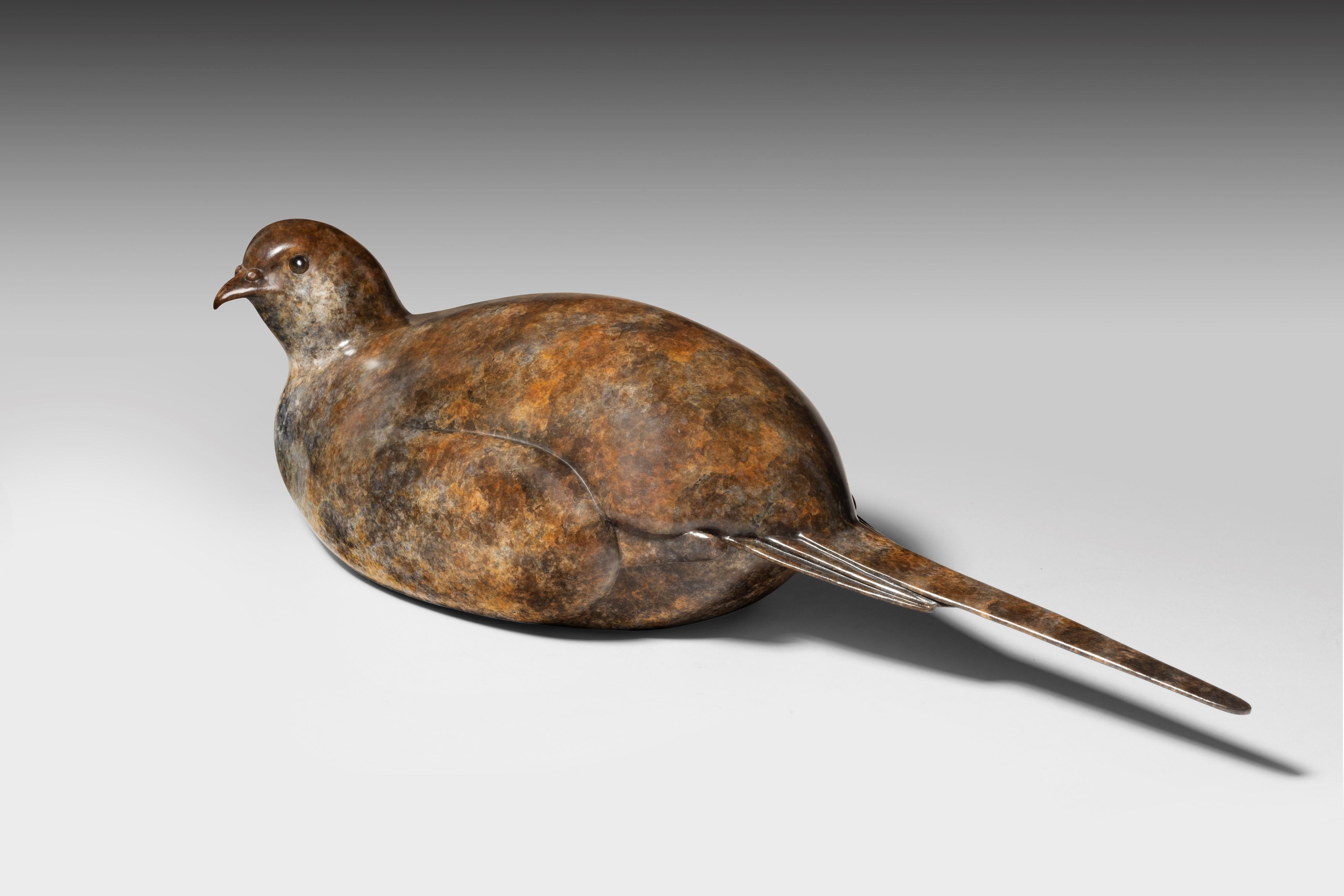 Faisán gallináceo de Richard Smith. Escultura contemporánea británica de bronce de fauna salvaje - Figurative Sculpture Oro de Richard Smith b.1955